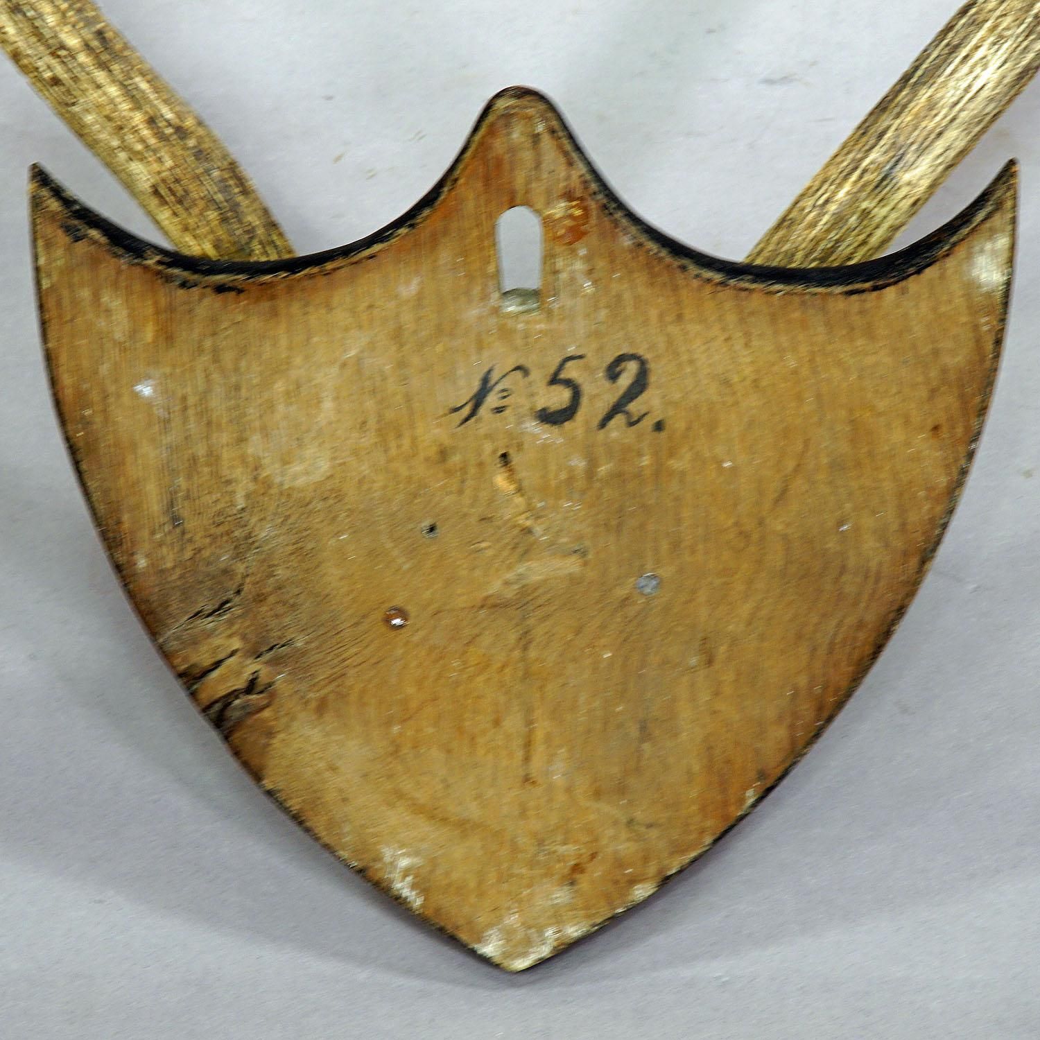 Antiek Zwart Woud edelhertentrofee uit Salem – Duitsland, Banzenreuthe 1875 photo vinterior