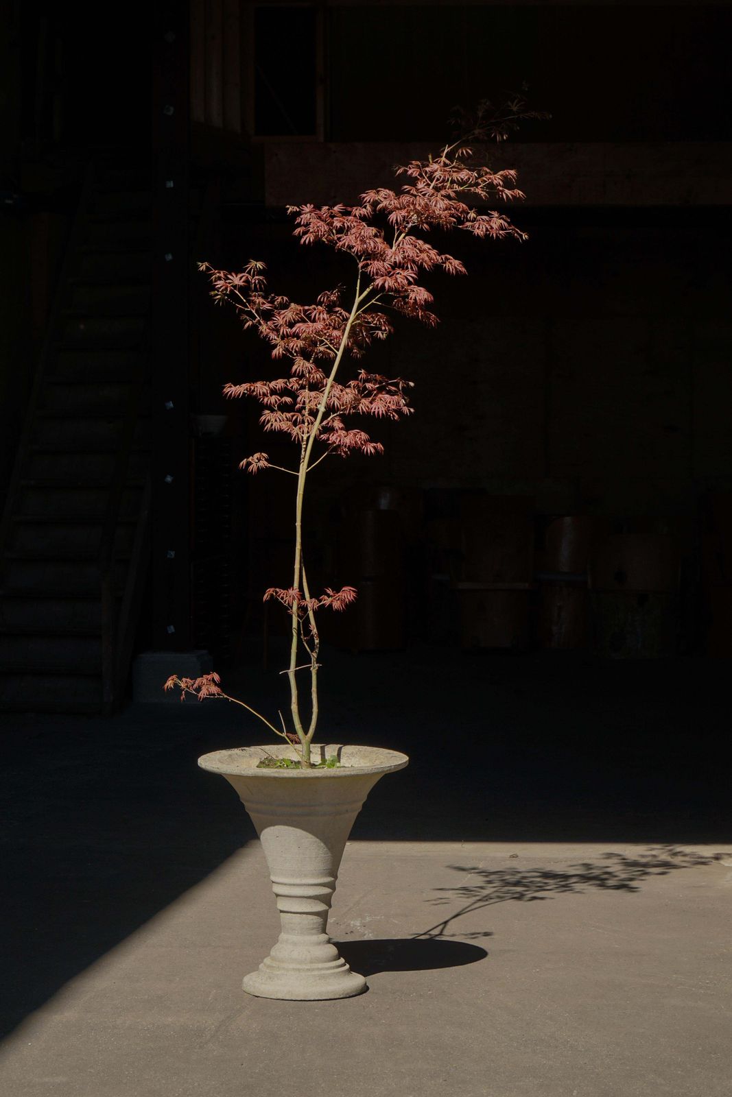 Cast Concrete Urn / Garden Planter, Mid 20th Century, Scandinavia, 1970s photo for sale