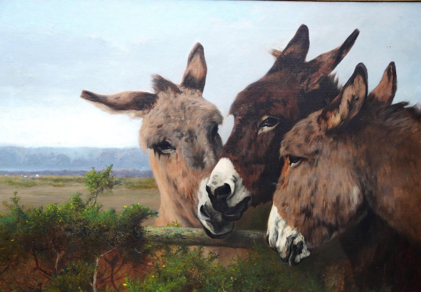 Portrait Of Donkeys In A Landscape   British Victorian Art Animal Oil Painting photo for sale