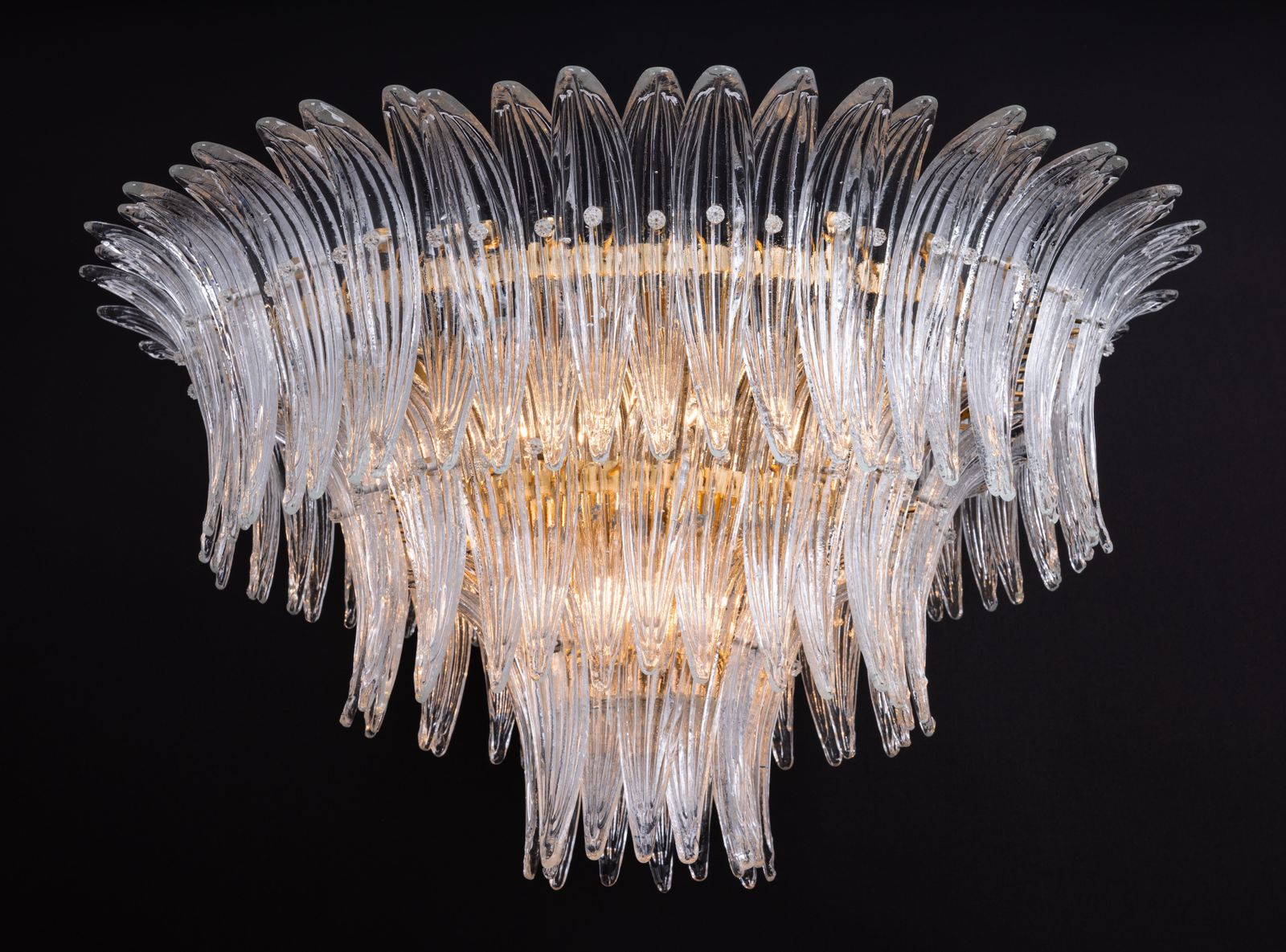 photo buy Grote Palmette Murano plafondlamp, Italië, jaren 1970
