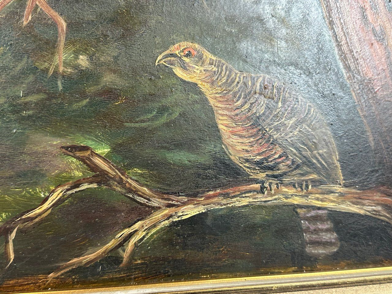F. Bassler, Capercaillie, Oil On Board, 1900s, Framed photo for sale