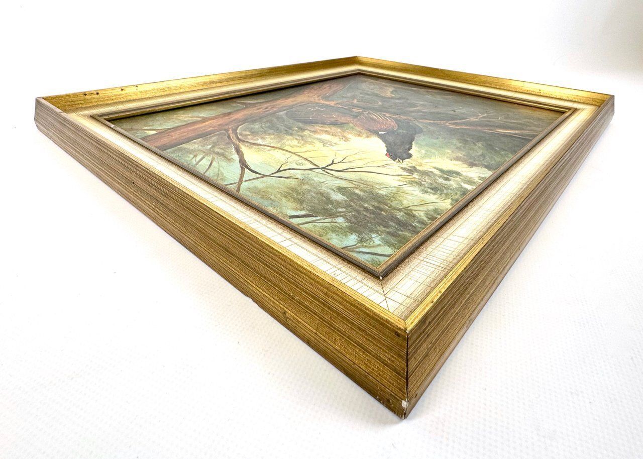 F. Bassler, Capercaillie, Oil On Board, 1900s, Framed photo 344.0