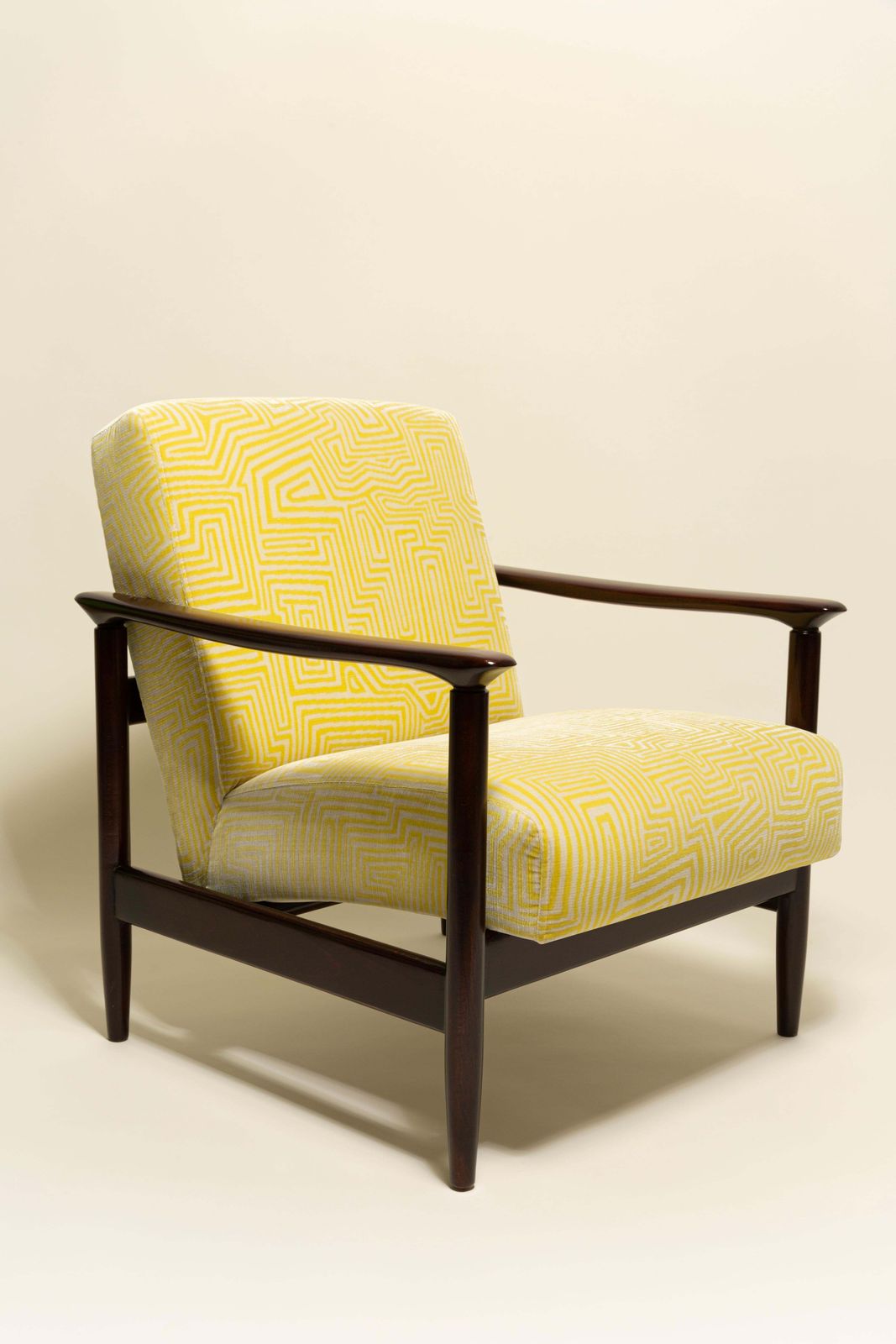 Two Midcentury Gfm142 Armchairs, Jamujungle Velvet, Dedar, E. Homa, Europe, 1960 photo for sale