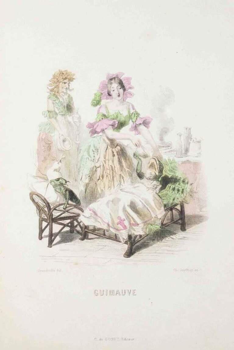 Guimauve   Les Fleurs Animées Vol.I   Lithograph By J.J. Grandville   1847