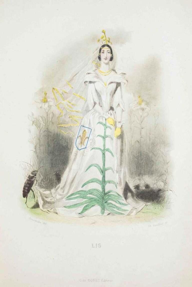 Lis   Les Fleurs Animées Vol. I   Lithograph By J.J. Grandville   1847