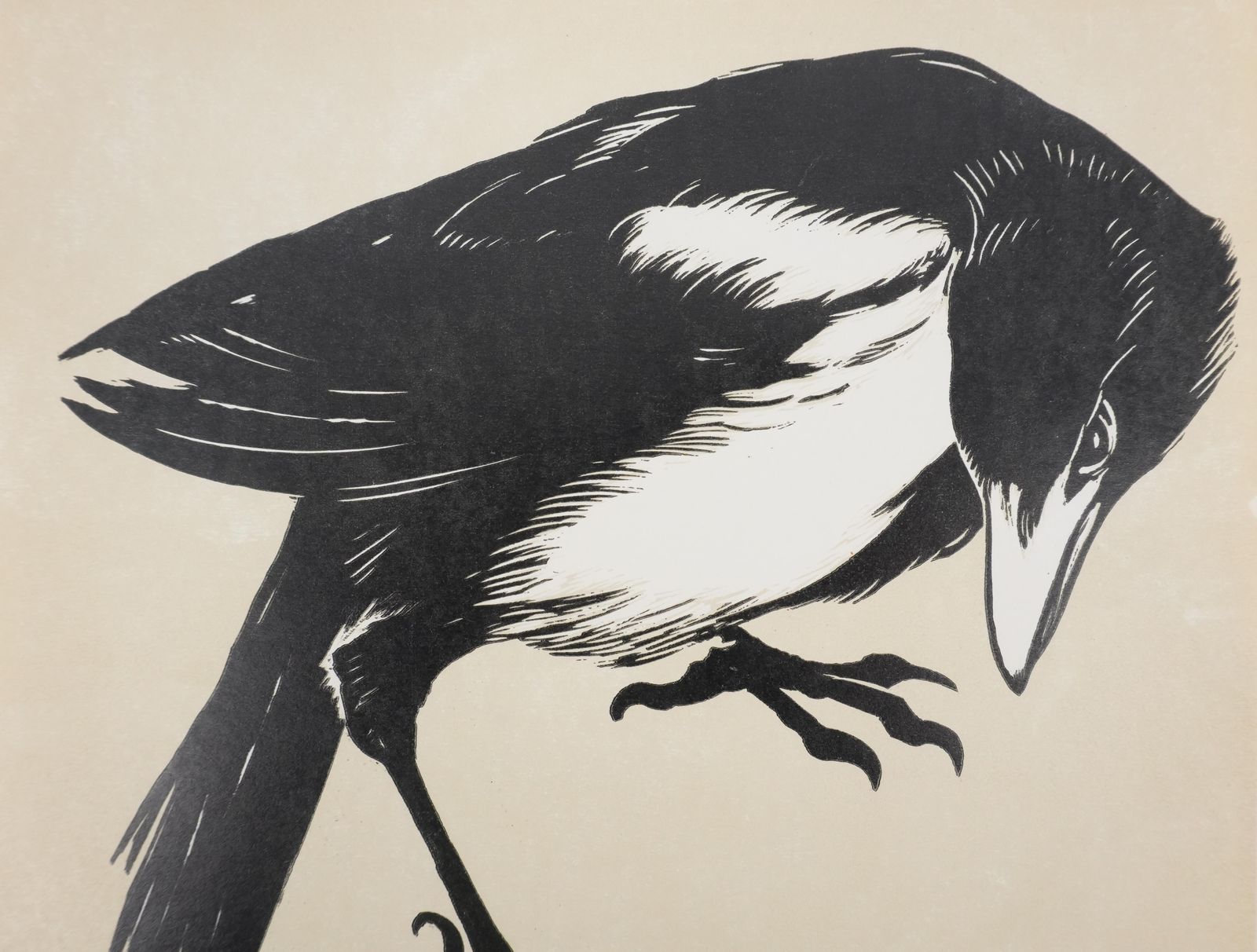 Japanese Print, White Billed Pie   Signed Woodcut photo furniture