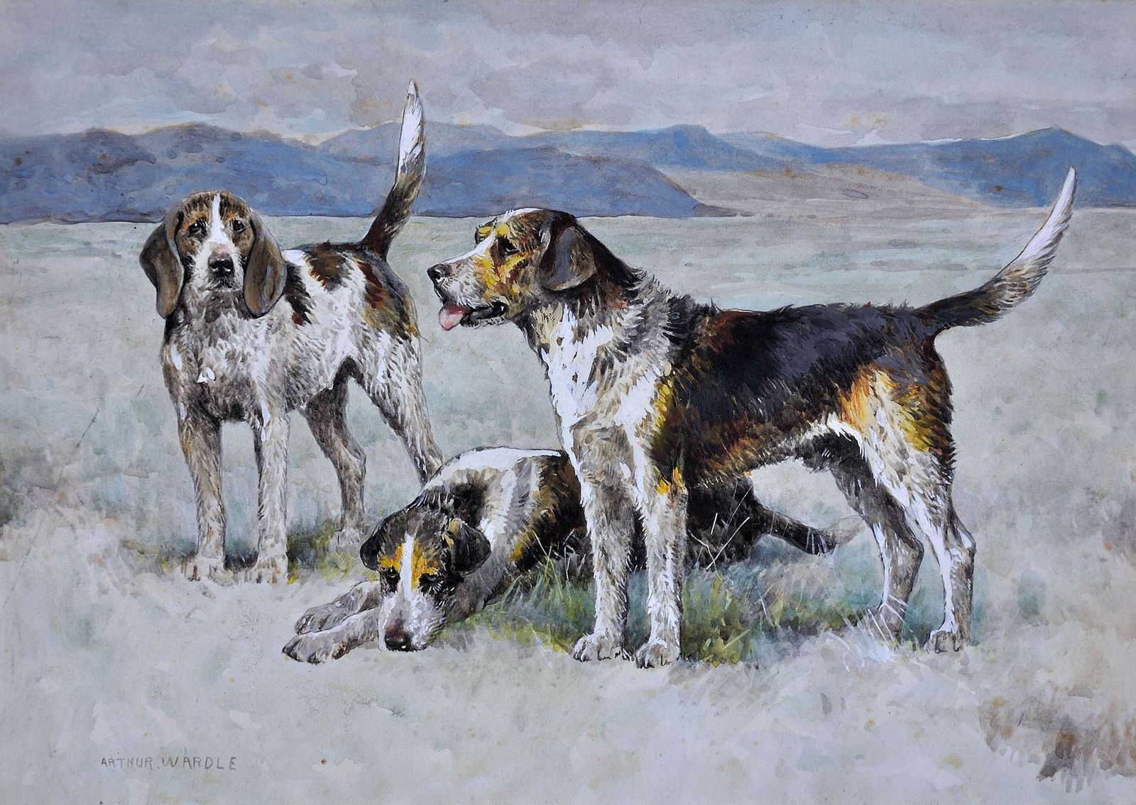 Arthur Wardle 1864 To 1949. English. A Pack Of Welsh Hounds In Wales. Framed Victorian Dog Watercolour Painting From 1900. photo furniture