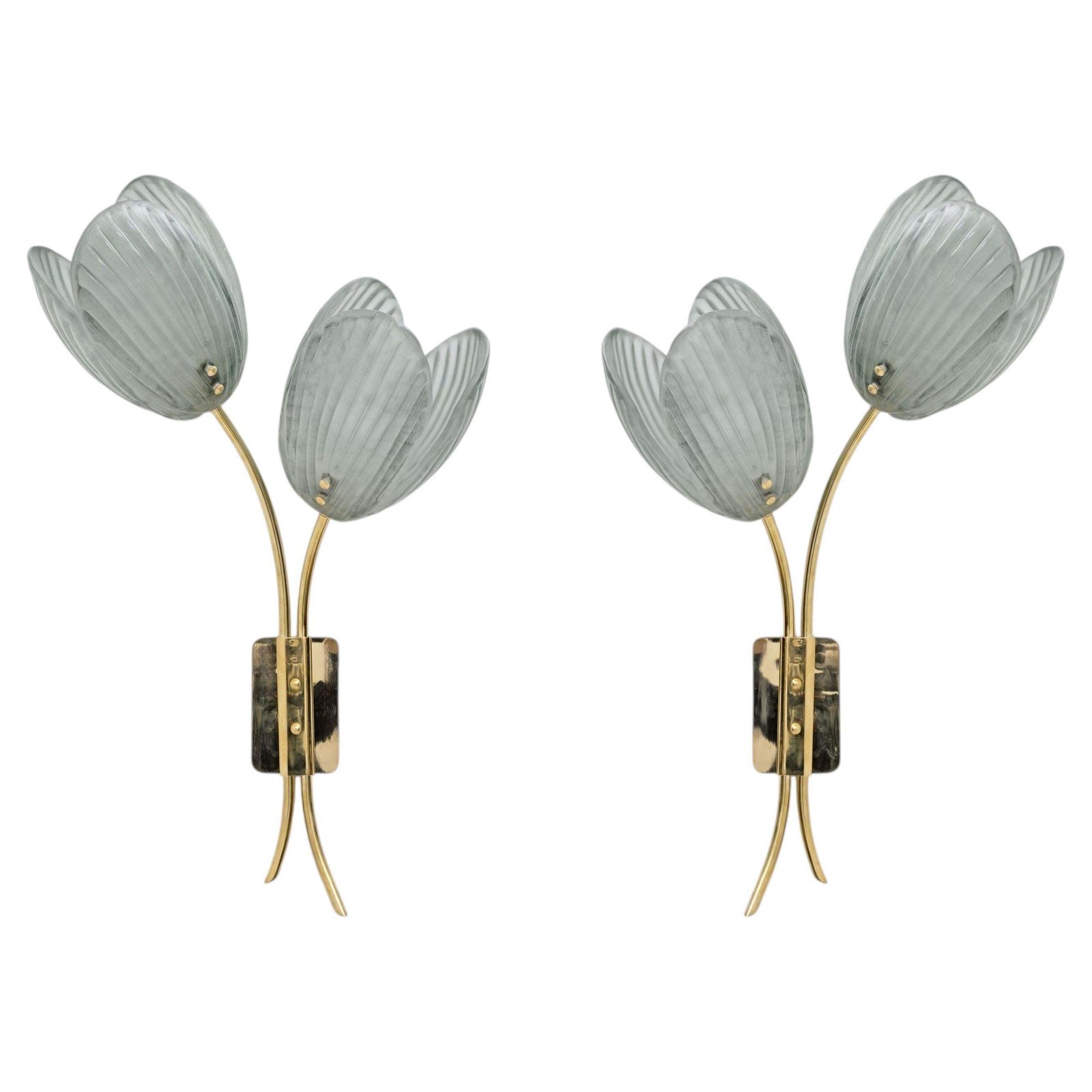 Pair Of Tulips Murano Glass And Brass Sconces