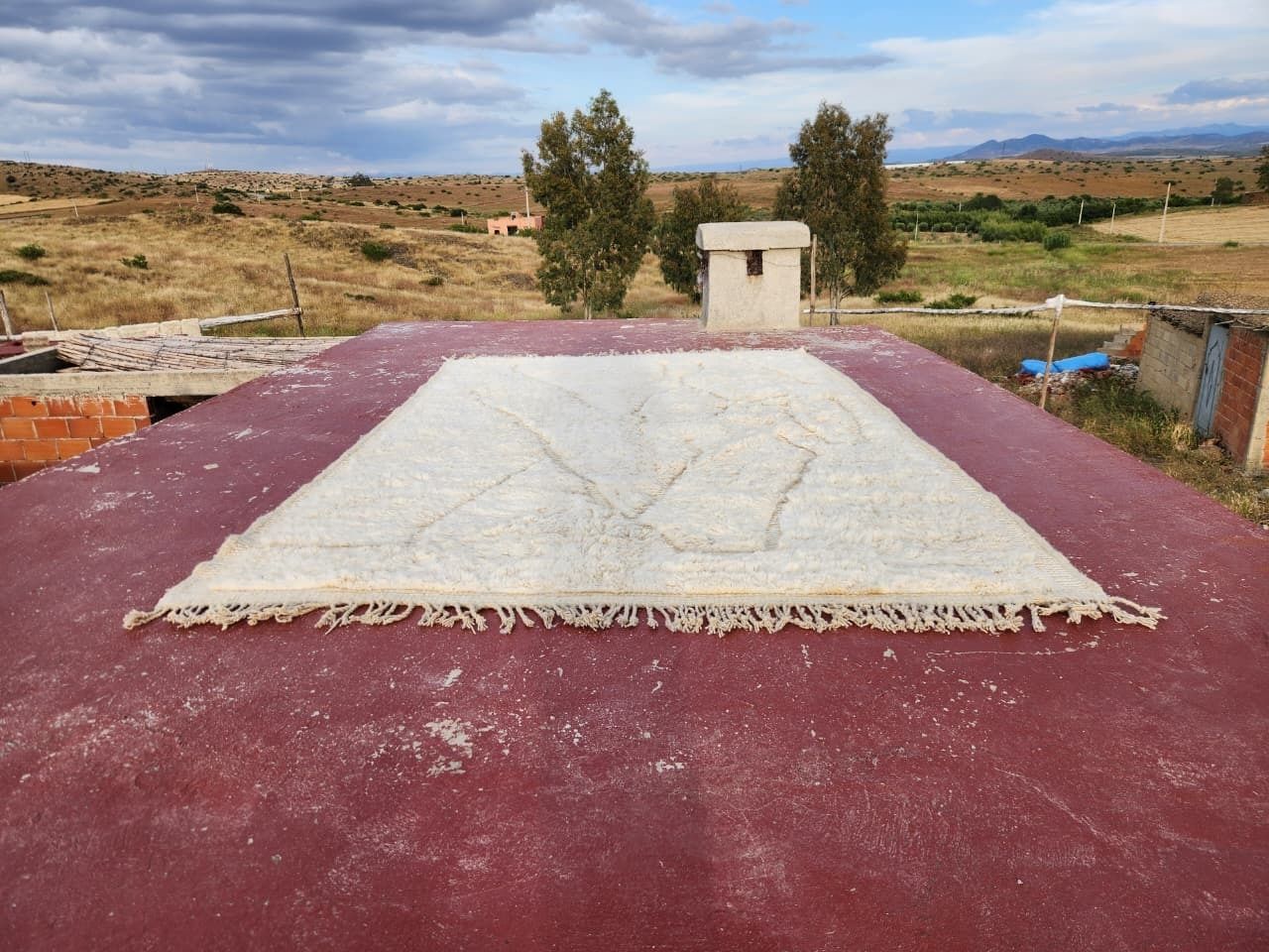 photo furniture Minimalist Beni Ourain Rug 300x200 Cm Handmade Moroccan Wool