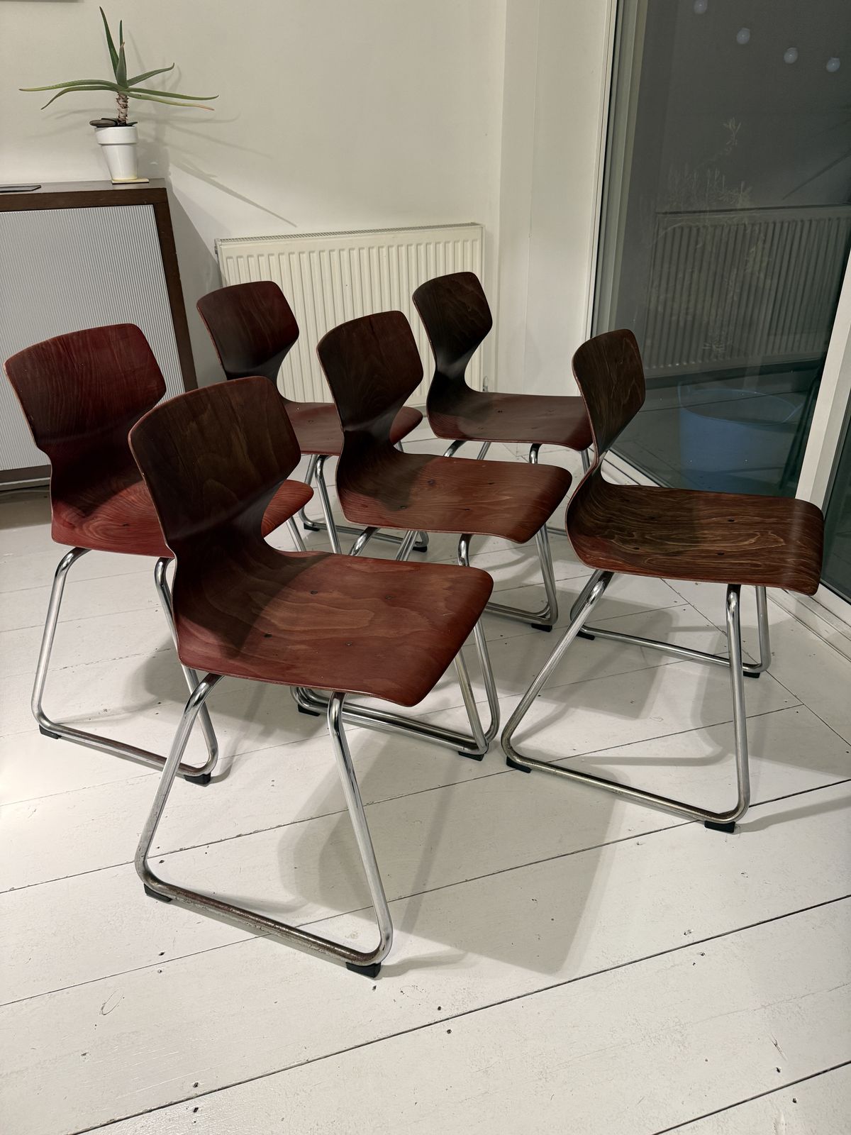 Set Of 6 Vintage Flötotto Pagholz Chrome Sled Dining Chairs, Germany, Late 1960s–Early 1970s photo for sale