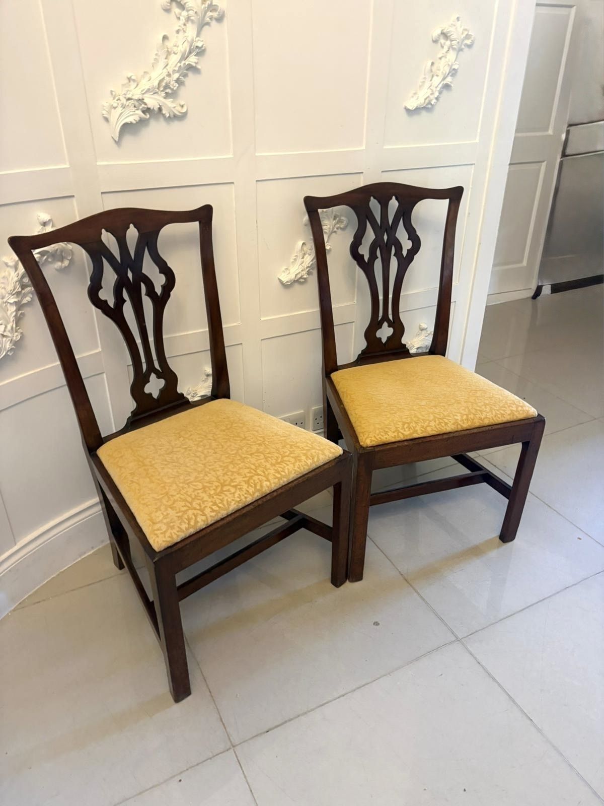 1150.0 Antique 19th Century Mahogany Side Chairs Pair English photo