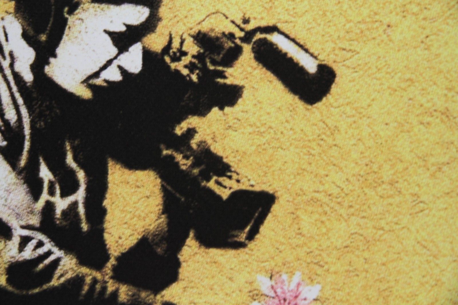 Banksy * Cameraman And Flower * 70x50 Cm * Lithografie * Limitiert # 54/150 photo 10372.0