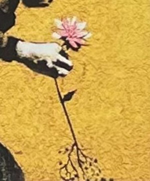 Banksy * Cameraman And Flower * 70x50 Cm * Lithografie * Limitiert # 54/150 photo vinterior