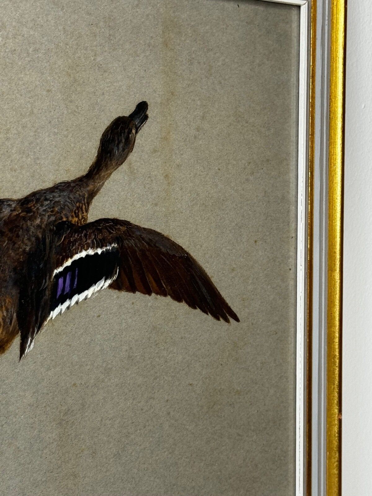 Victoriaans schilderij, jachtvogels, twee opvliegende eenden, Thomas Blinks photo 5600.0