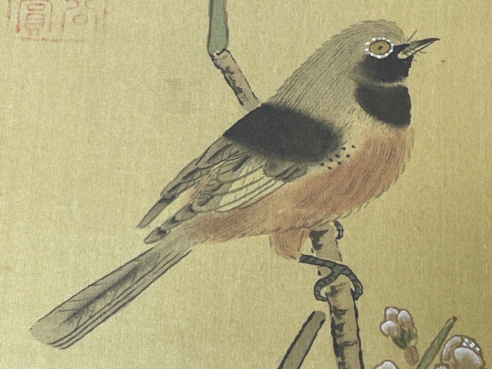 Chinese Painting 2 Wild Birds Plum Blossom Eyes After Zhao Ji (趙佶, 1082–1135) photo Art