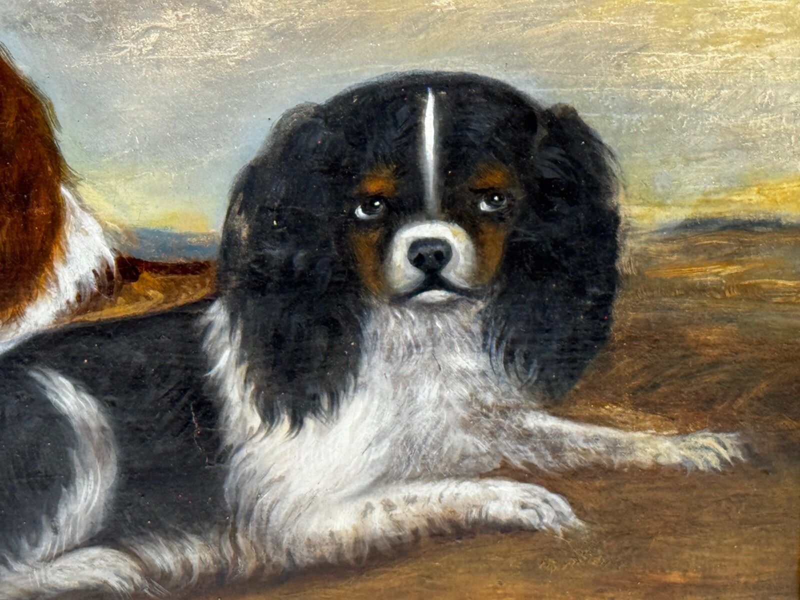 3900.0 19e-eeuws olieverfschilderij, dierenportret van King Charles Spaniëls photo