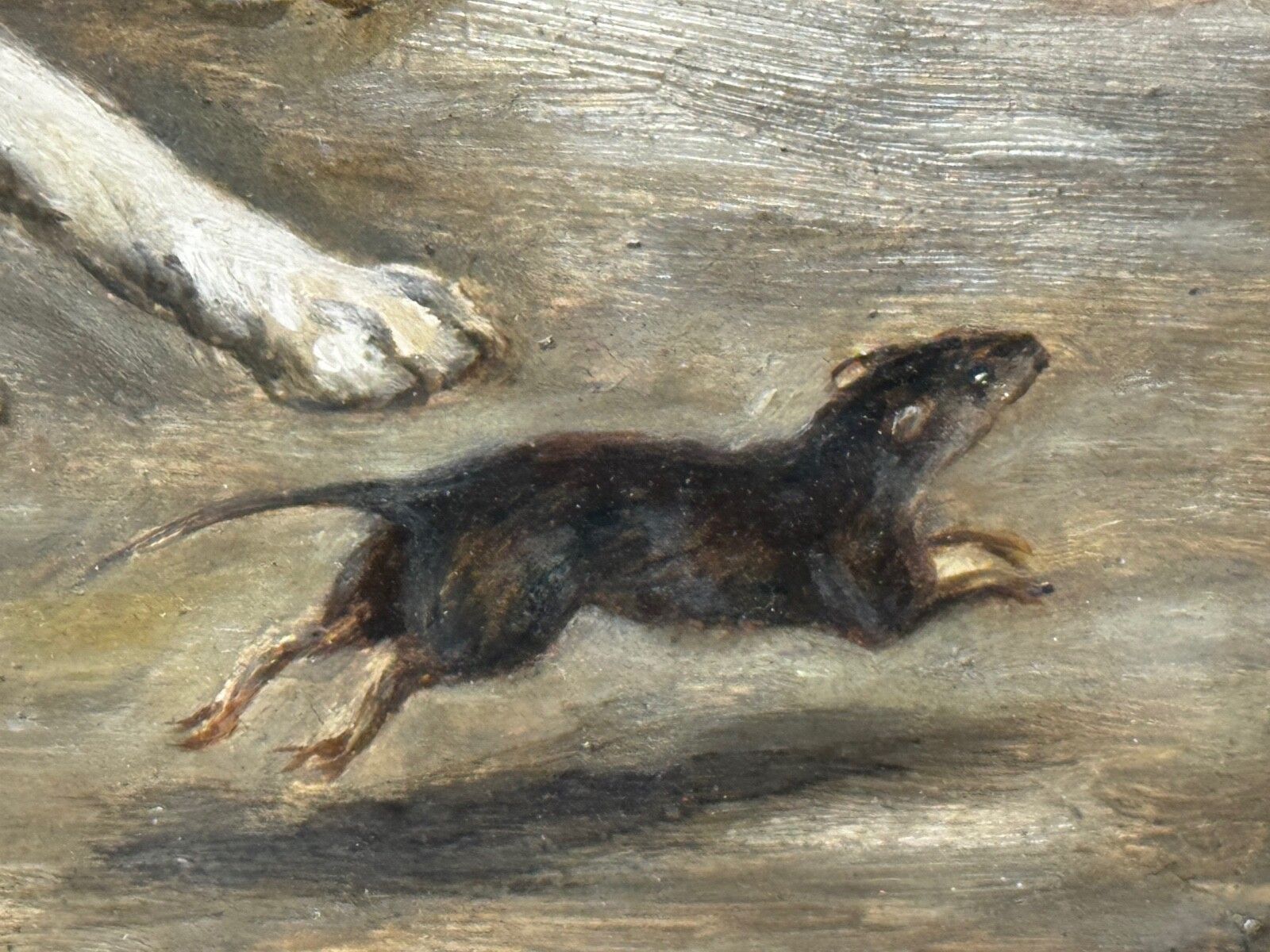 19e-eeuws jachtschilderij in olieverf, twee Jack Russell Terrier honden die een rat achtervolgen in een schuur, gesigneerd door Edward Aistrop photo buy