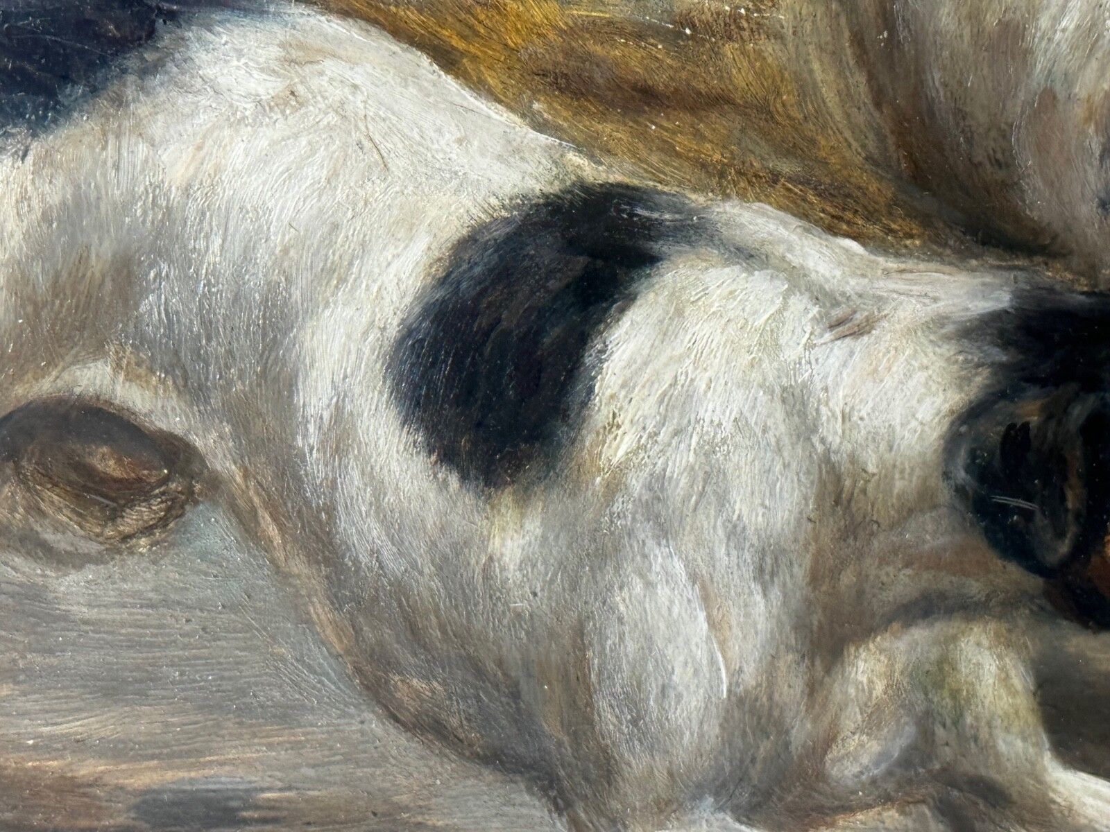 photo vintage 19e-eeuws jachtschilderij in olieverf, twee Jack Russell Terrier honden die een rat achtervolgen in een schuur, gesigneerd door Edward Aistrop