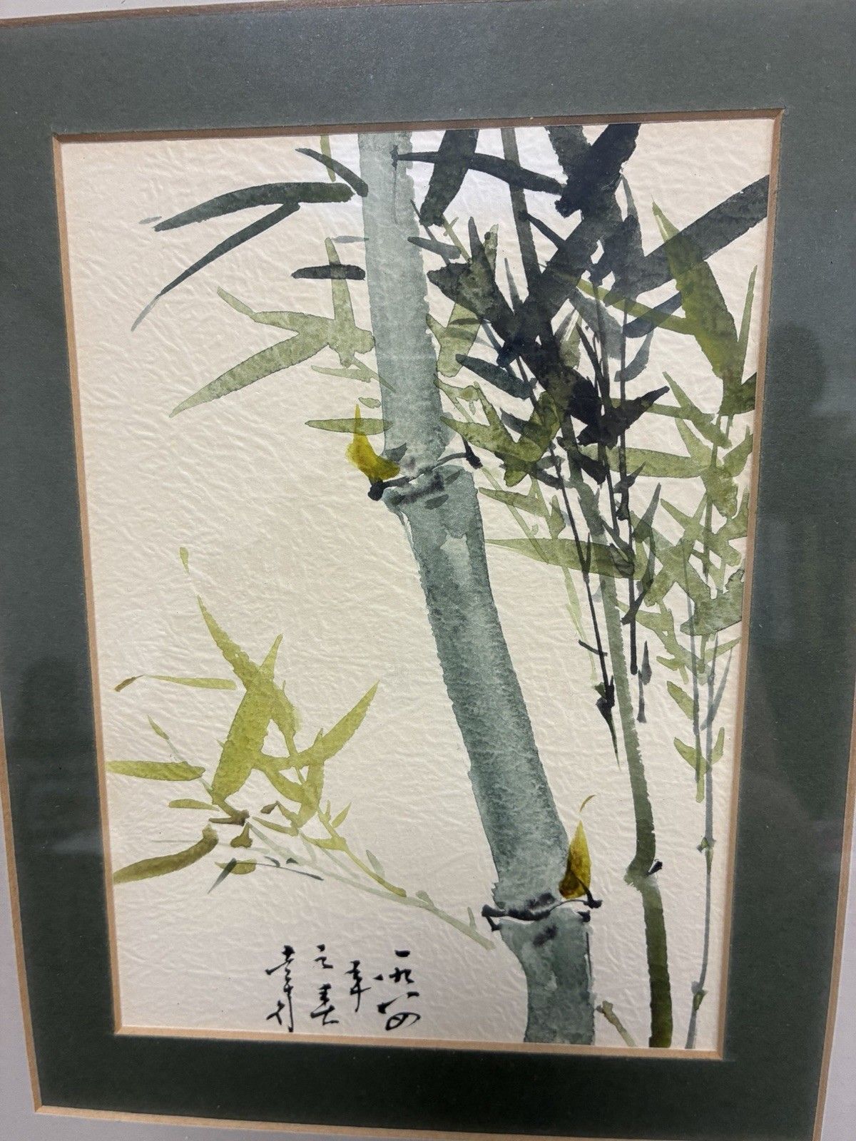 Chinese Watercolour & Ink Signed & Framed Bamboo Stalks & Leaves photo 55.0