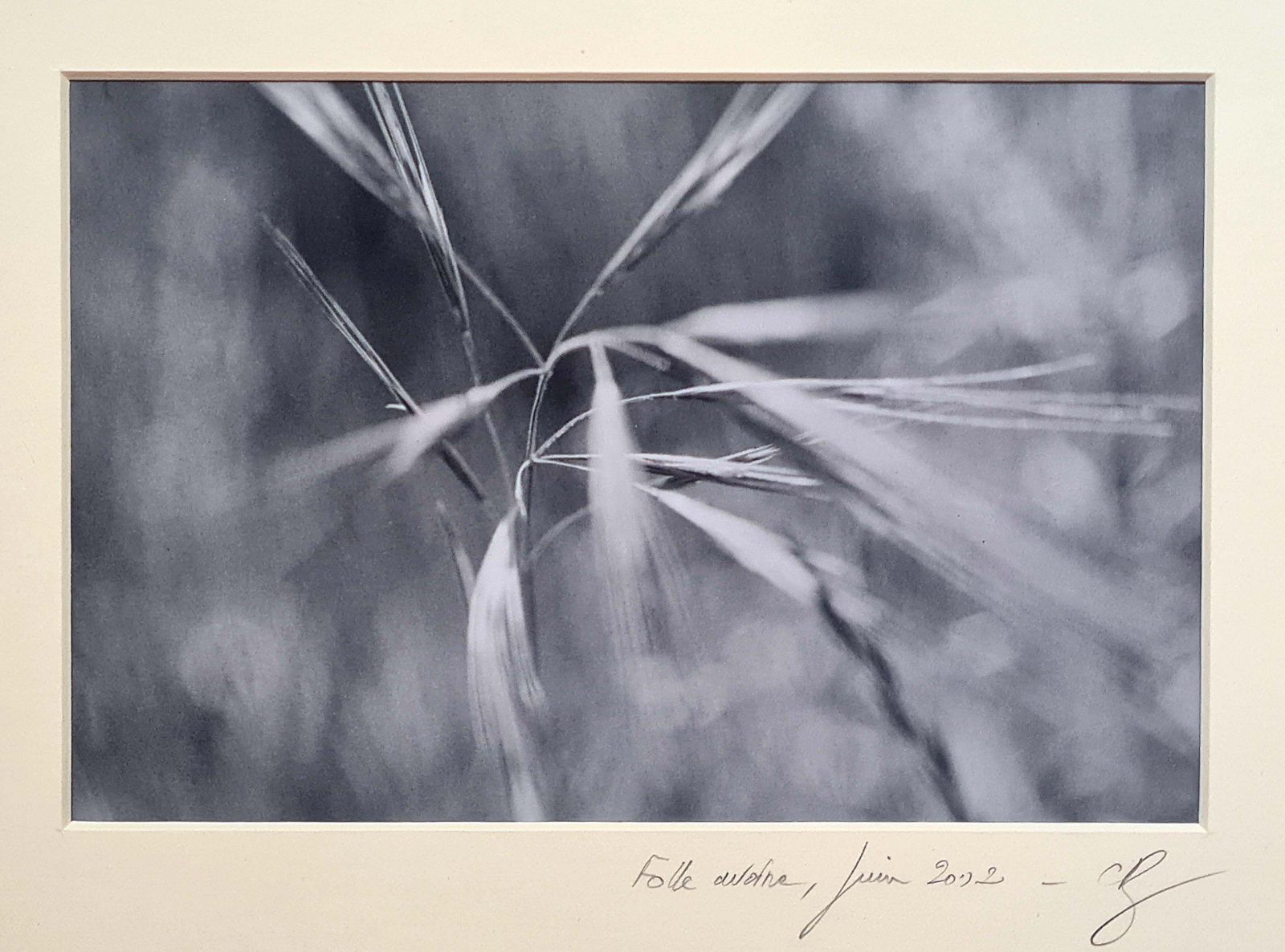 The Ear Of Corn Photorealist Photograph On Paper, 21st Century