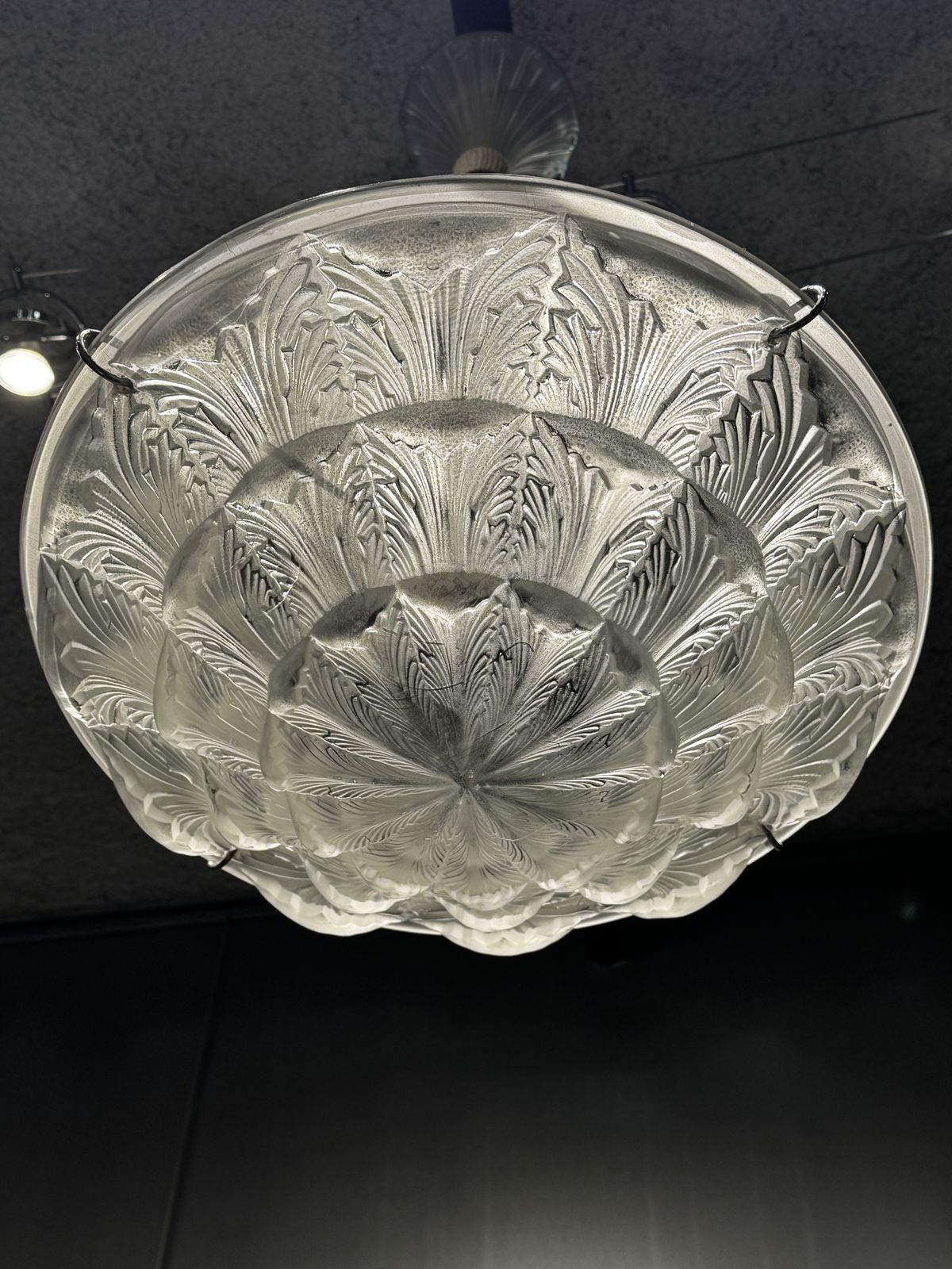 A R.Lalique Acanthes Chandelier photo 8000.0