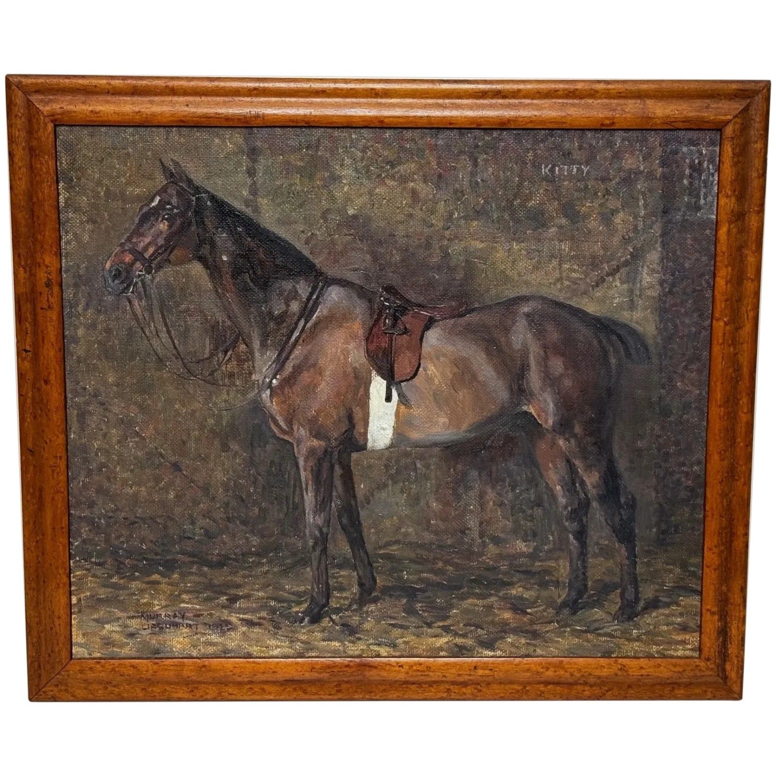 Early 20th Century Oil Painting Kitty Bay Hunter Mare Of The Chiddingfold, Leconfield & Cowdray Hunt Stables Signed By Murray Mcneel Caird Urquhart