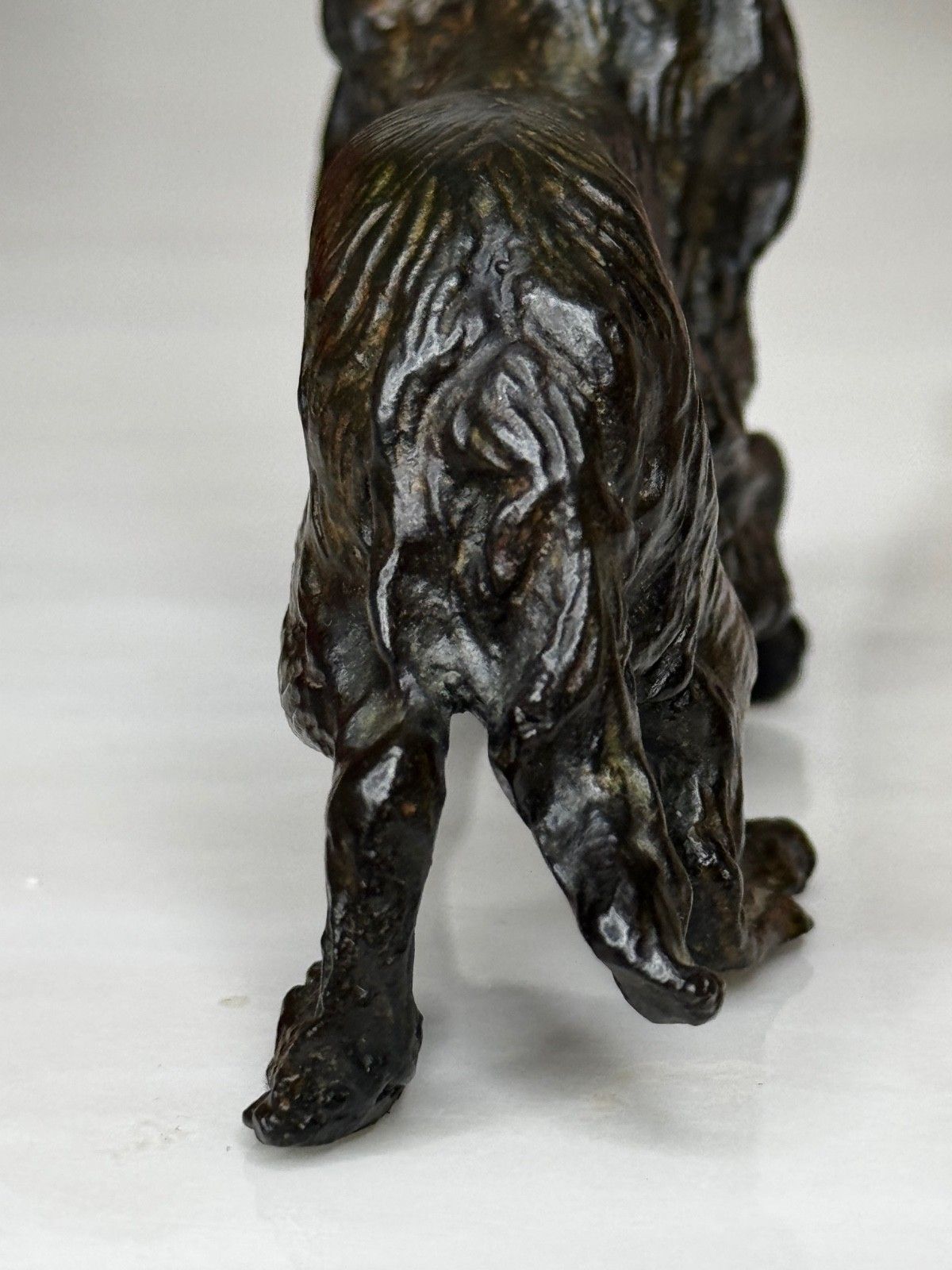 photo for sale Oostenrijks bronzen langharige tekkel in de stijl van Franz Xaver Bergman