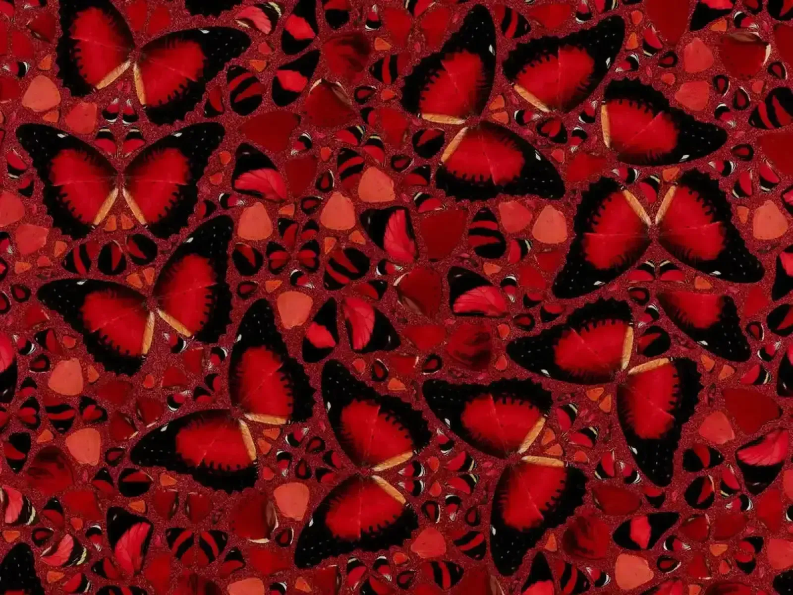 Damien Hirst, Taytu Betel   H10 5, 2022 photo 5000.0
