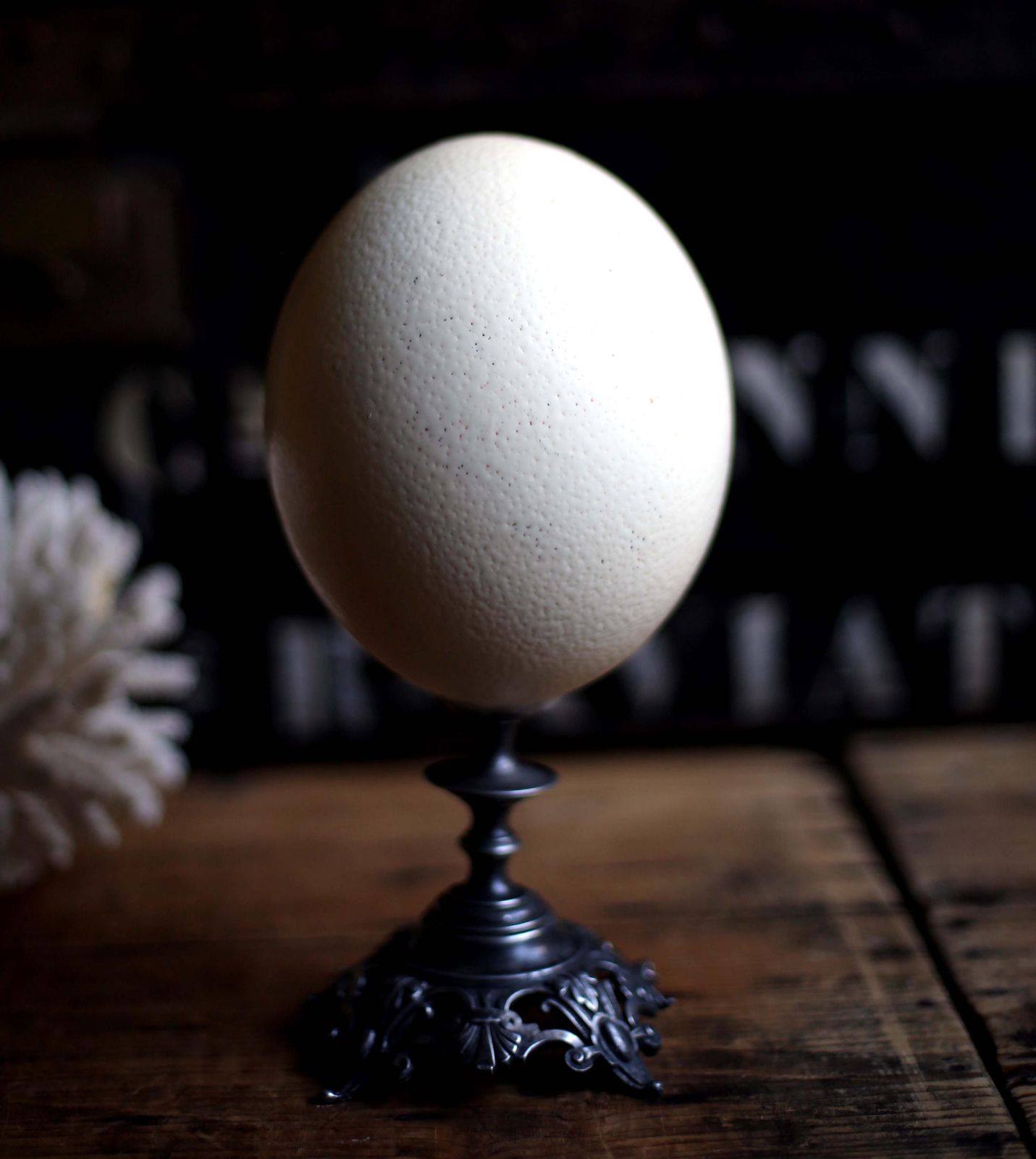 photo for sale Antique Ostrich Egg And Pewter Display Stand Specimen For Cabinet Of Curiosities Rococo Style