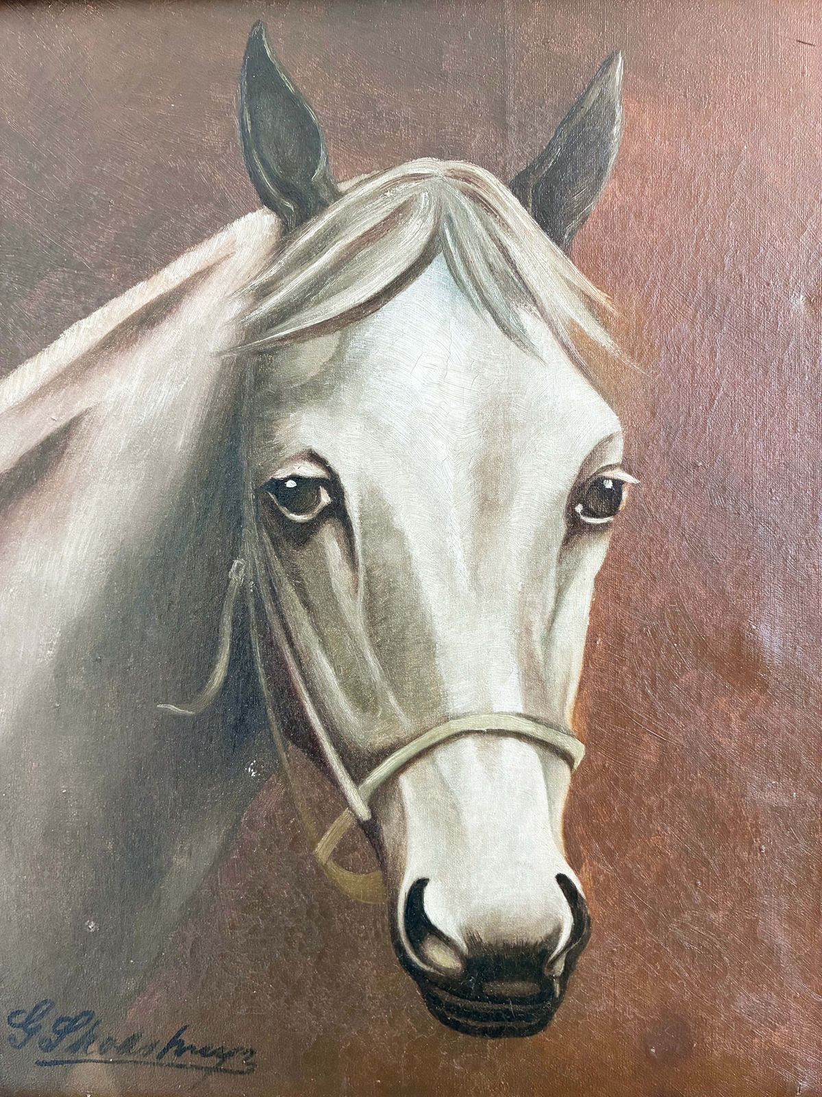 Peinture à l'huile vintage représentant un cheval blanc, portrait équestre signé photo furniture