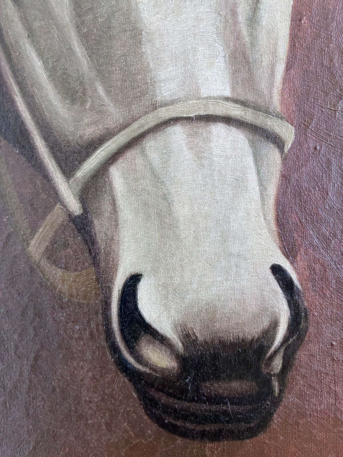 photo for sale Vintage Original White Horse Oil Painting, Signed Equestrian Portrait