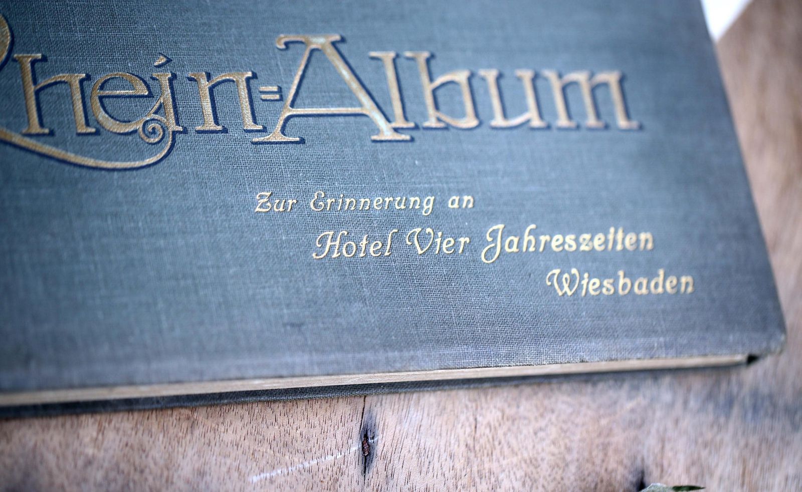 Antique Book Rhein Album German Souvenir photo vinterior
