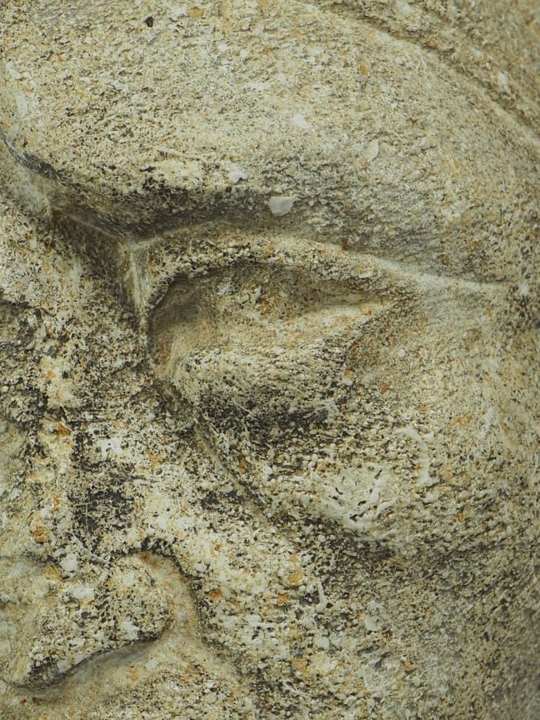 photo vinterior Antique Venetian Stone Head Of A Roman Gladiator