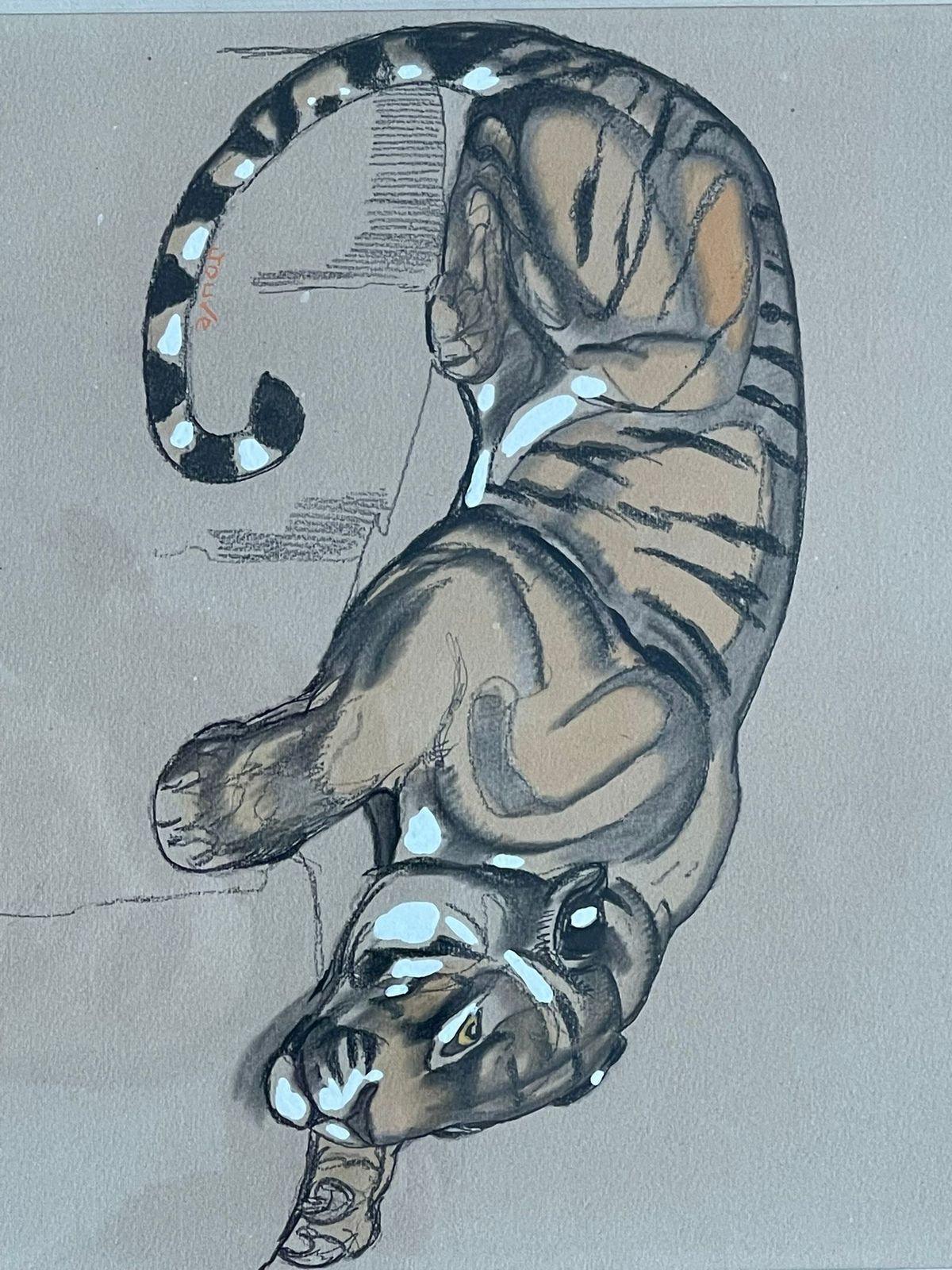 Art Paul Jouve (1878 1973) « Tigre » – Circa 1920 photo