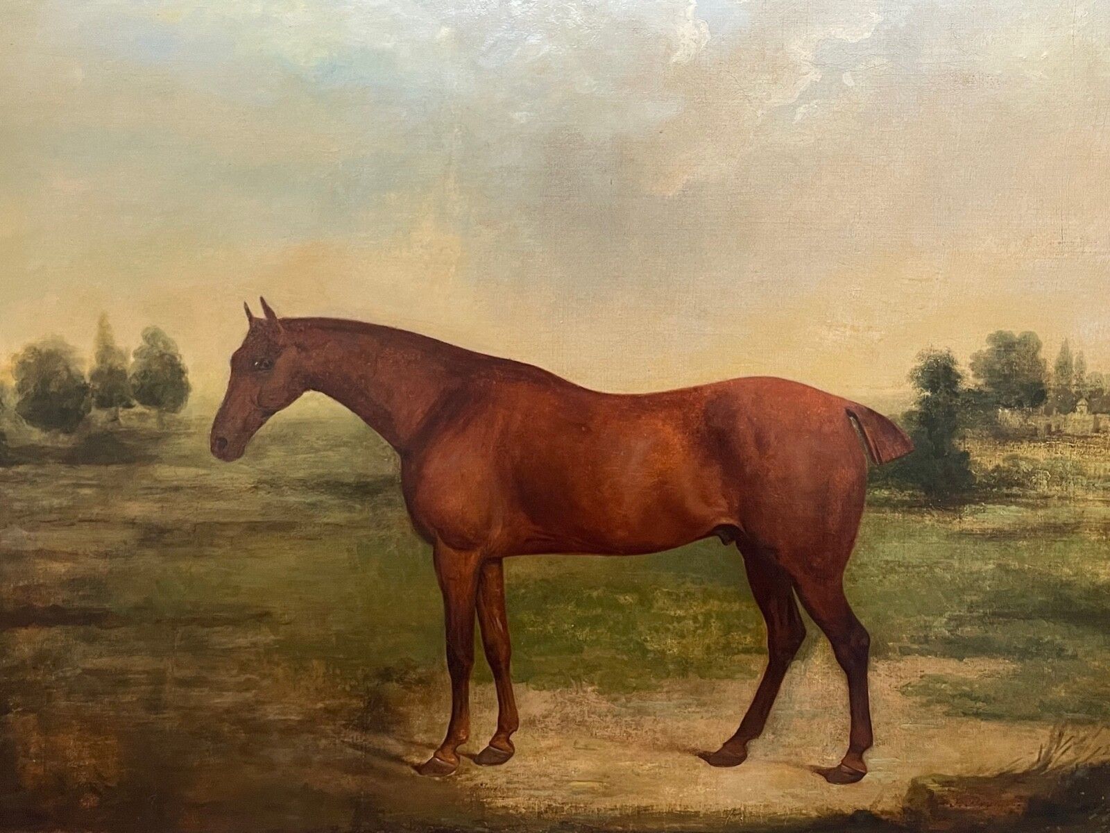 Early 19th Century Equestrian Oil Painting Bay Race Horse Partisan Bred By 4th Duke Of Grafton C1827 Signed By James Barenger. photo for sale