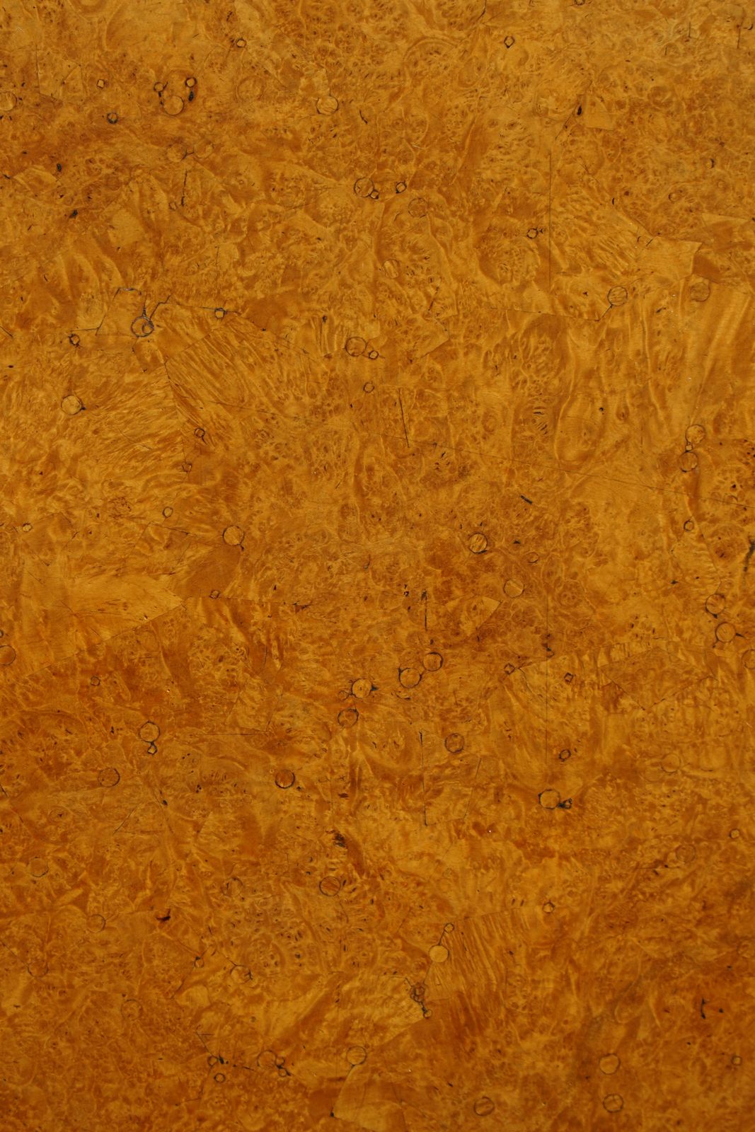 photo buy Early 19th Century, Swedish Antique Tilt Top Occasional Table In Burl Wood