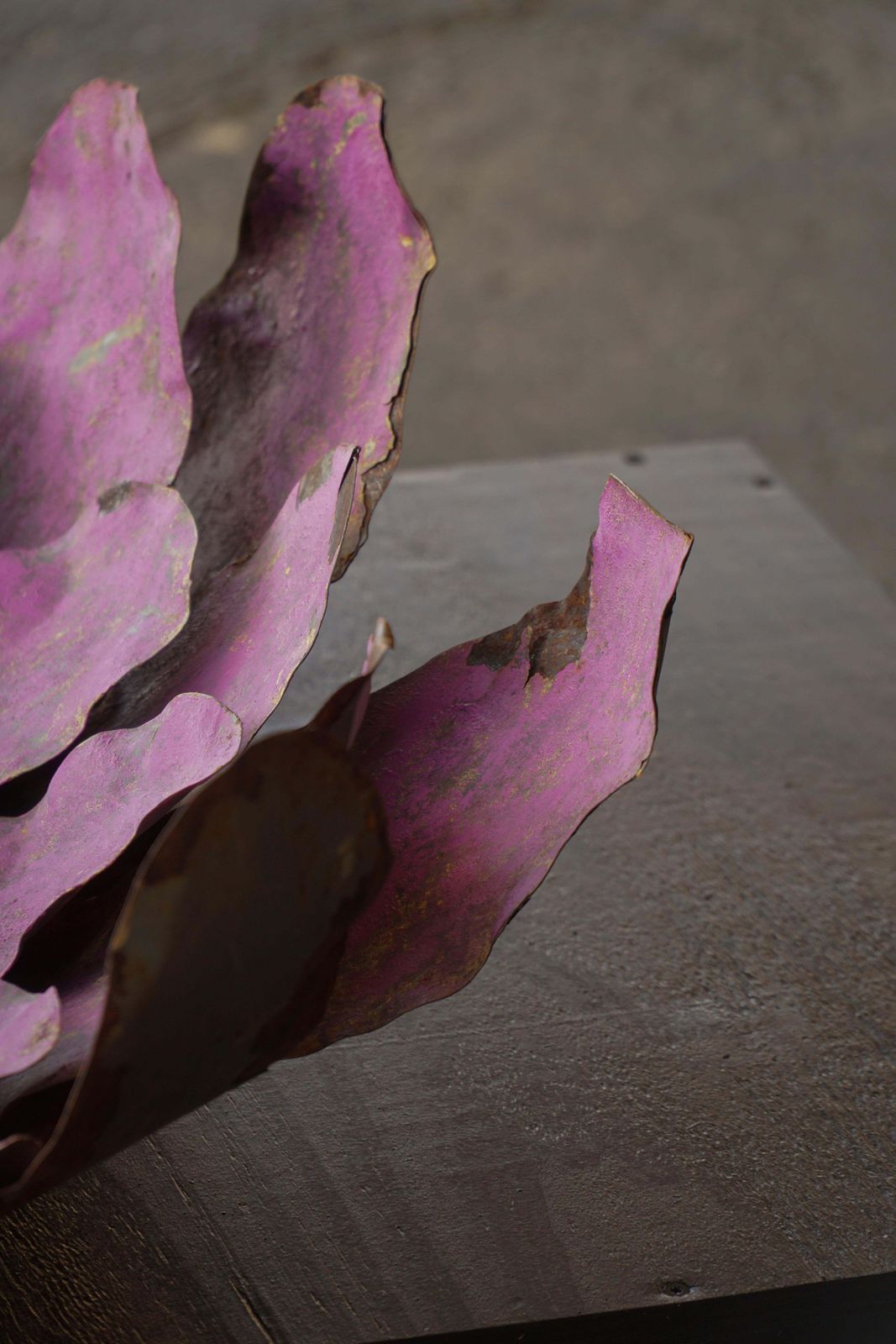 Large Sculptural Metal Flower Wall Decoration, Belgium, Mid 20th Century, 1960s photo buy