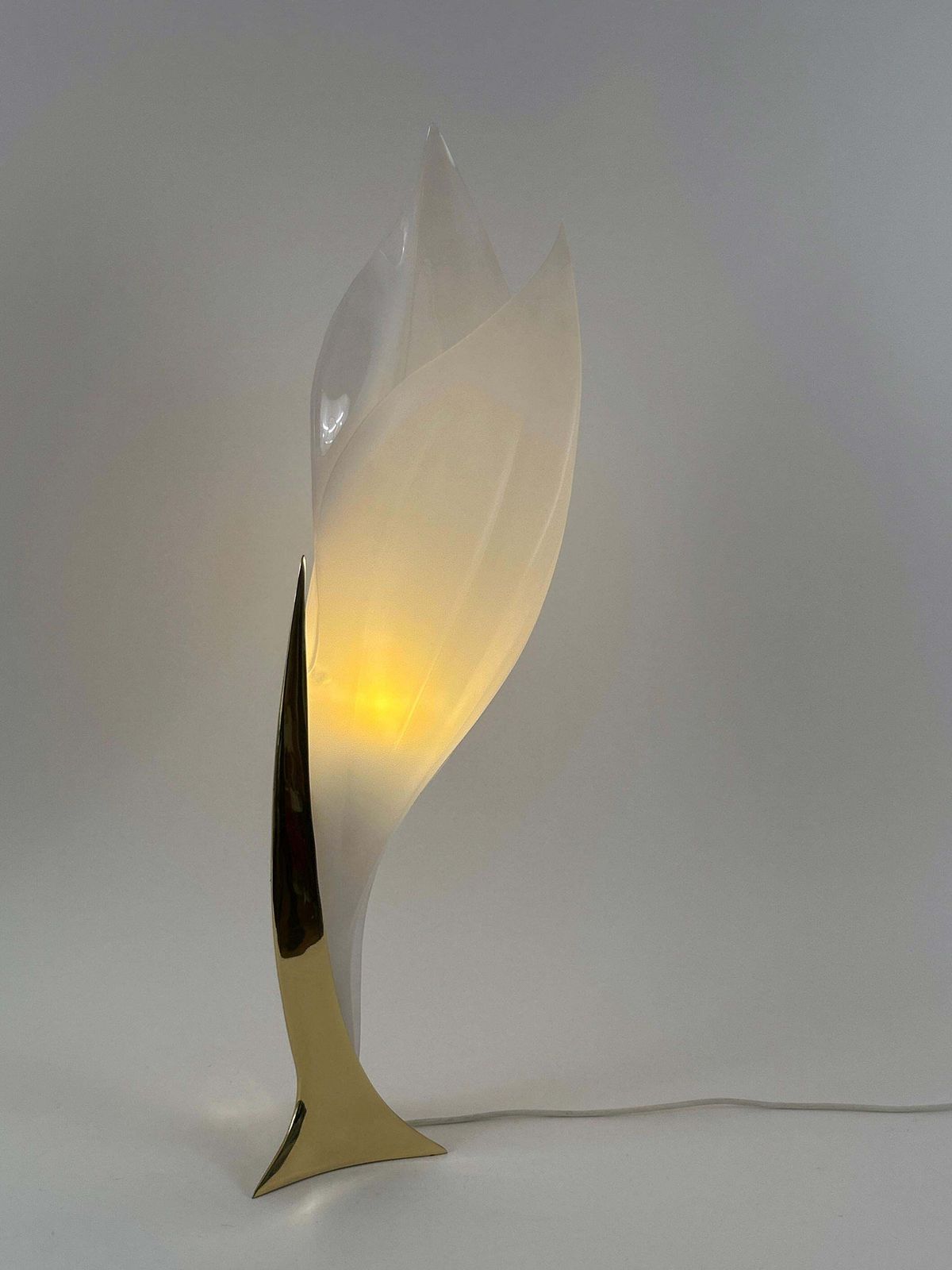 Modernist Acrylic & Brass Table Lamp Or Floor Light By Maison Rougier 1970s photo Lighting