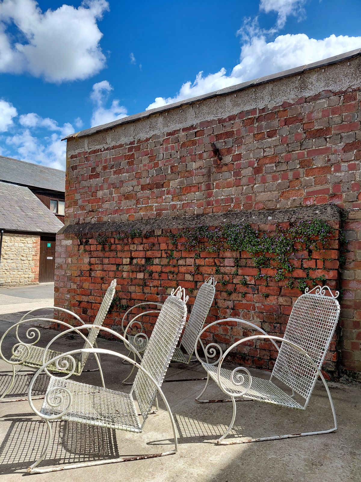 Rare Set Of Two Antique Wirework Garden Chairs With Cushions, Circa 1920s photo Garden Furniture