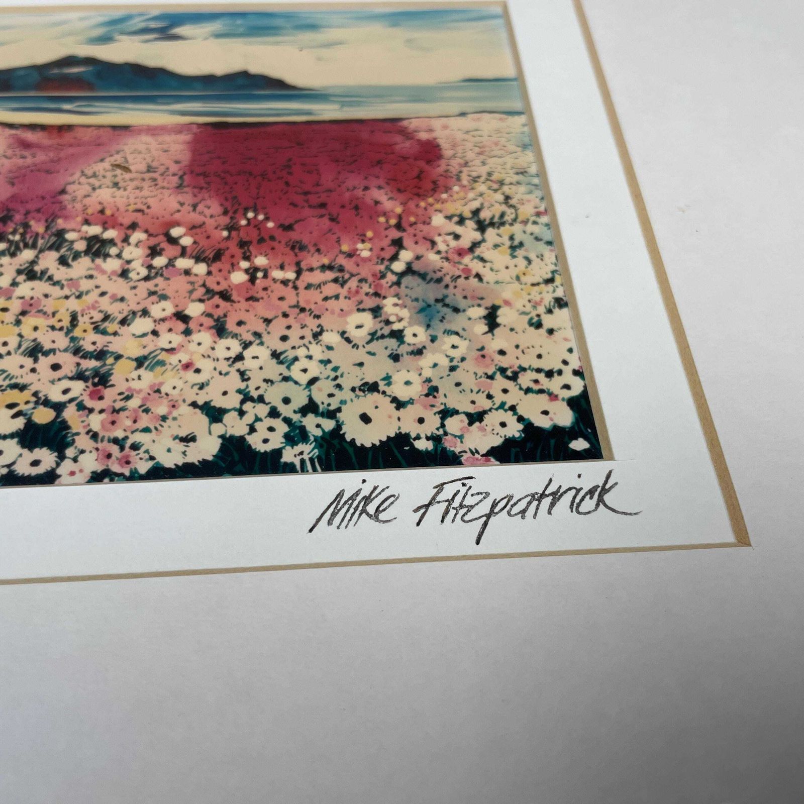 Cape Town Landscape Print Signed Mike Fitzpatrick 1993 Floral Field Framed Gold Wall Art South Africa Travel Art Collectible photo 55.0