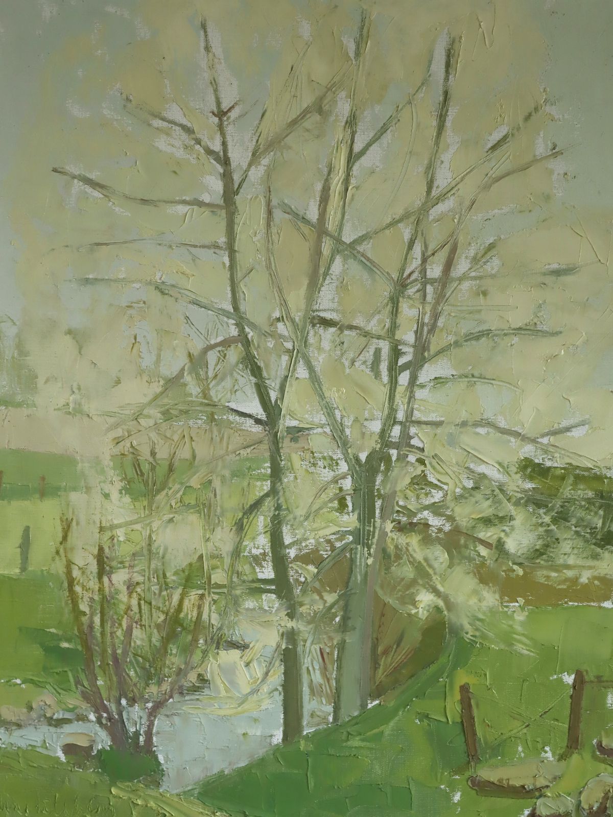Whispering Canopy Oil Painting photo 490.0