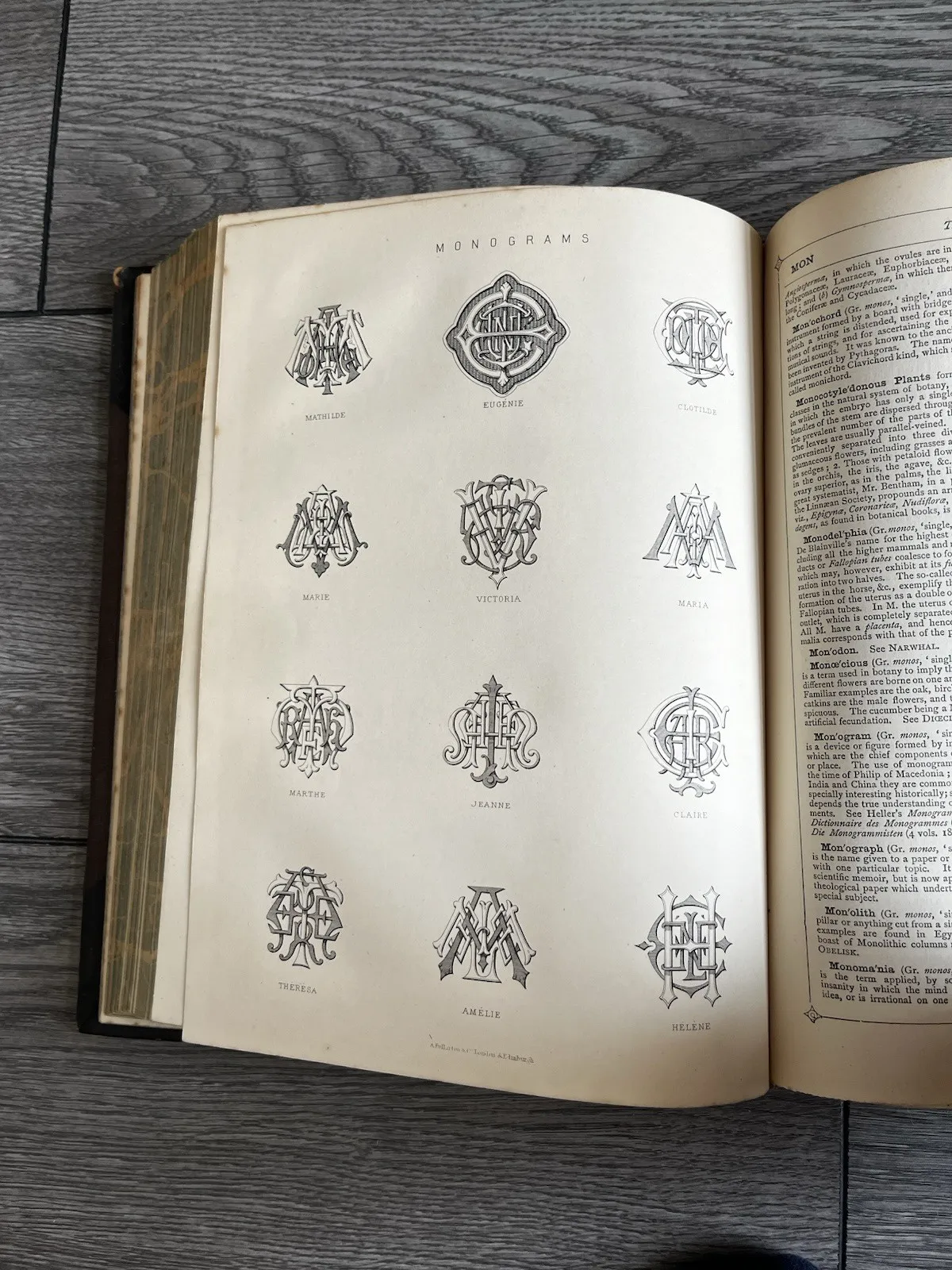 photo buy Antique Victorian Decorative Book 1881 Gilt Leather Globe Encyclopaedia Vol IV 4