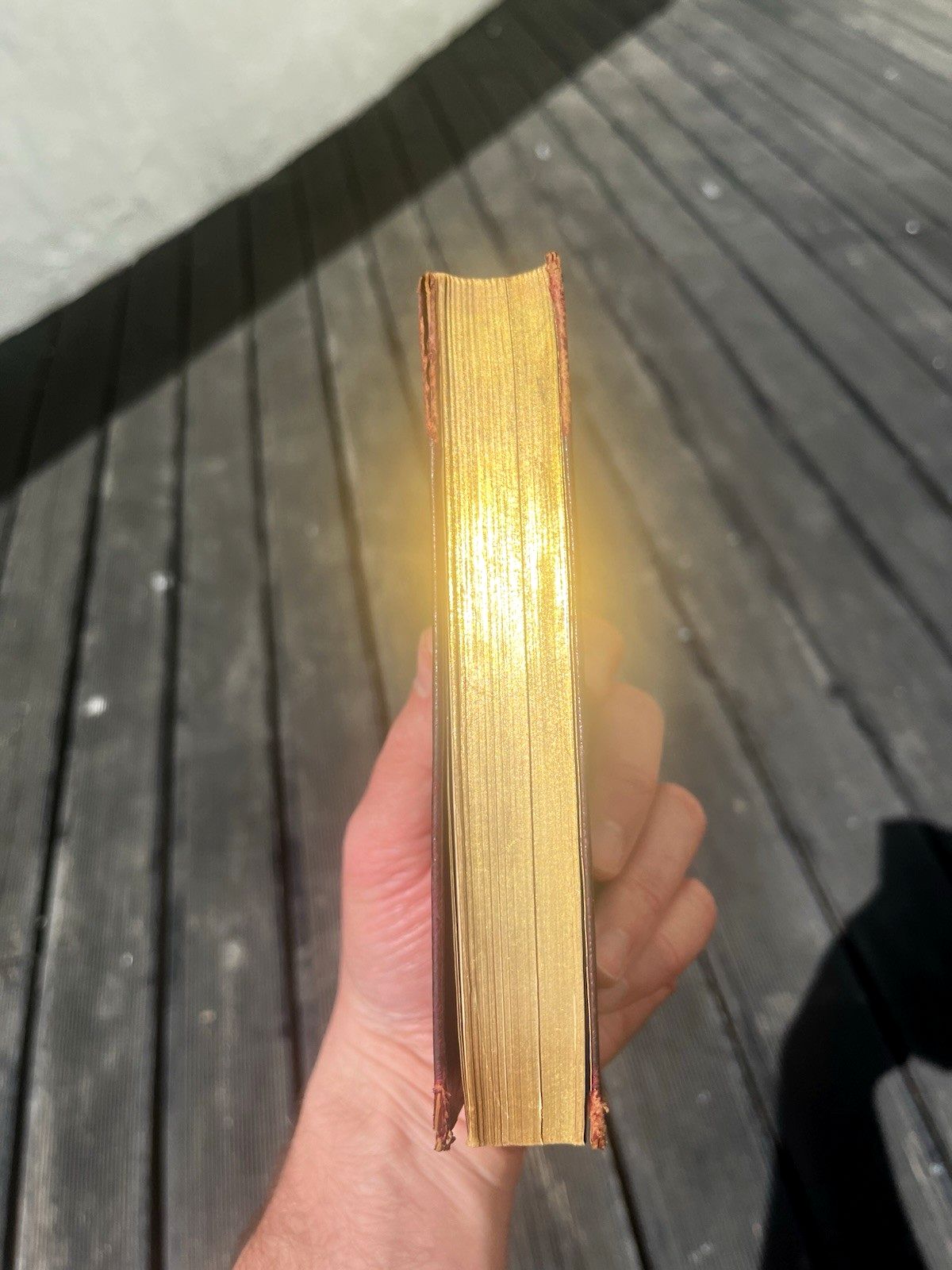 Antique Decorative Gilt Edge Leather Book Charlotte, Emily & Anne Bronte Sisters photo vinterior