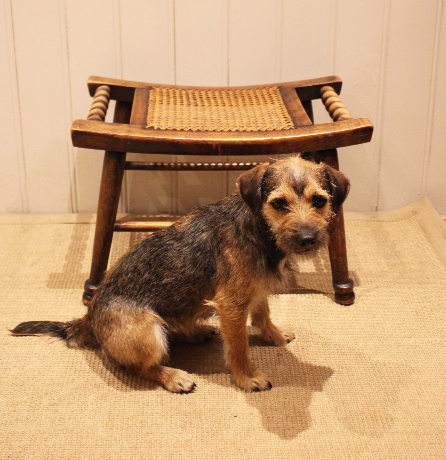 Turned Beech Cane Seat Stool, 1920s photo Furniture