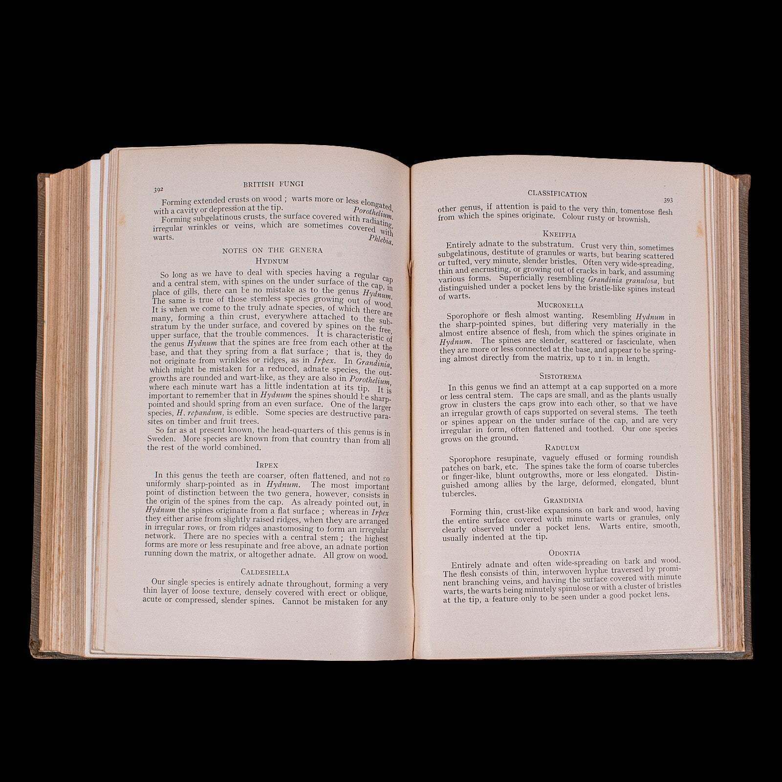 Home Decor Antique Reference Book, British Fungi, George Massee, English, Natural, Science photo