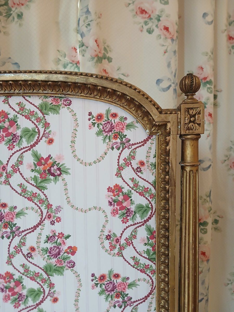 Louis XV Style Fireplace Screen photo furniture