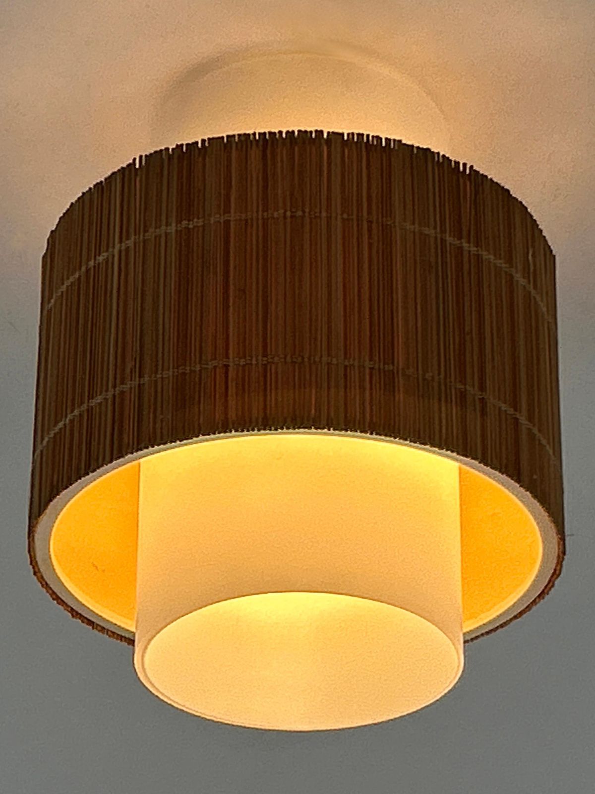 1587.0 Elegant Mid Century Modern Flush Mount Or Ceiling Fixture Germany 1960s photo