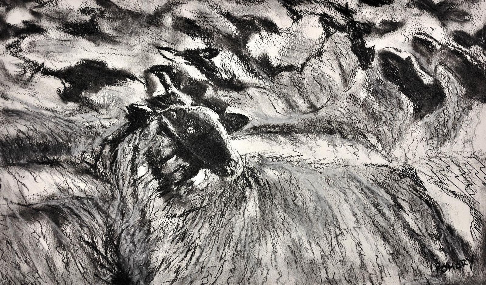 Susan Pomery Wilks. A Flock Of Clun Forest Sheep. Framed Original Pastel & Charcoal On Paper. Modern British. Native Breed Farming In West Wales. photo furniture