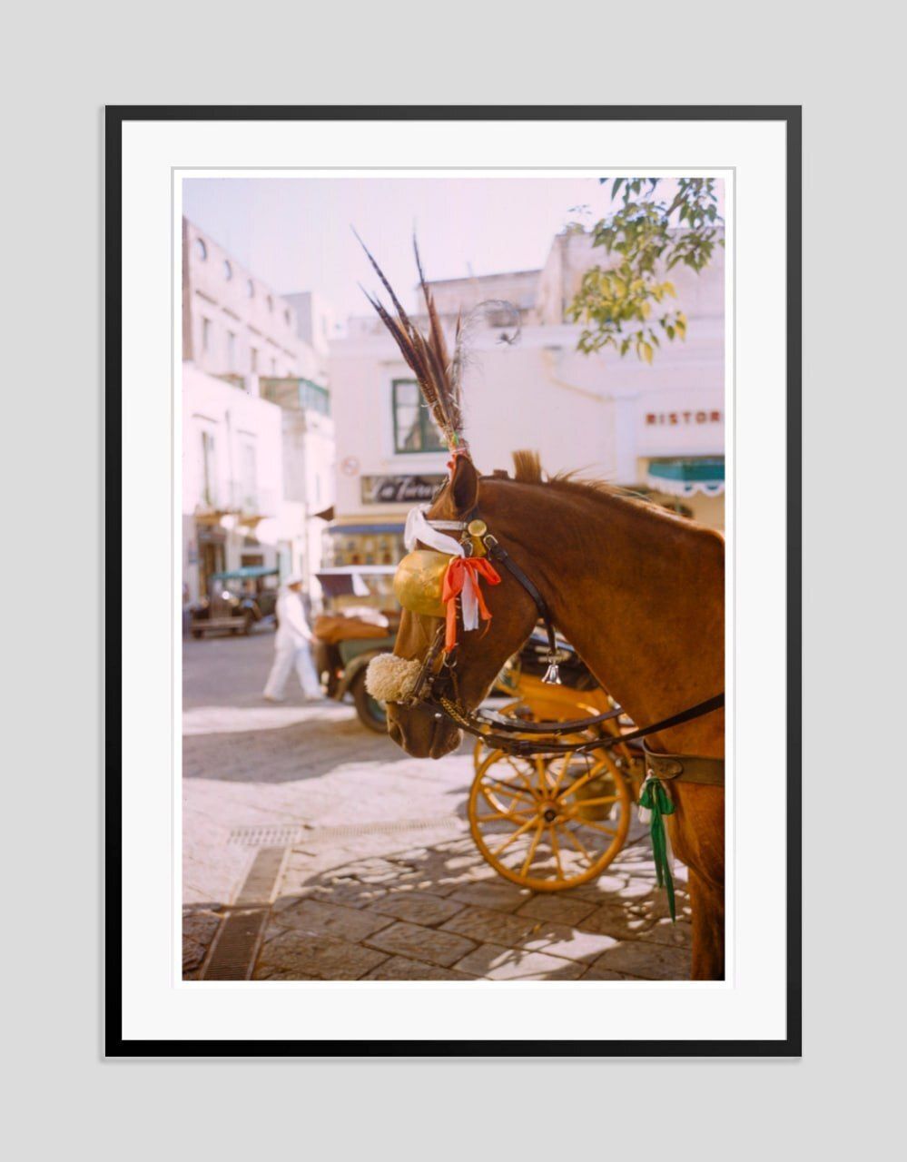 Toni Frissell 'Reigns And Feathers' Archival Pigment Print Framed In Black photo furniture