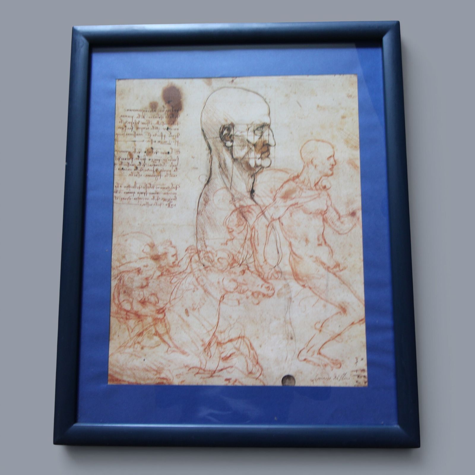 Set Of Three Glazed, Box‑Framed Prints Featuring Iconic Works By Leonardo Da Vinci   Vitruvian Man Anatomical Study The Geometry Of Vision photo for sale